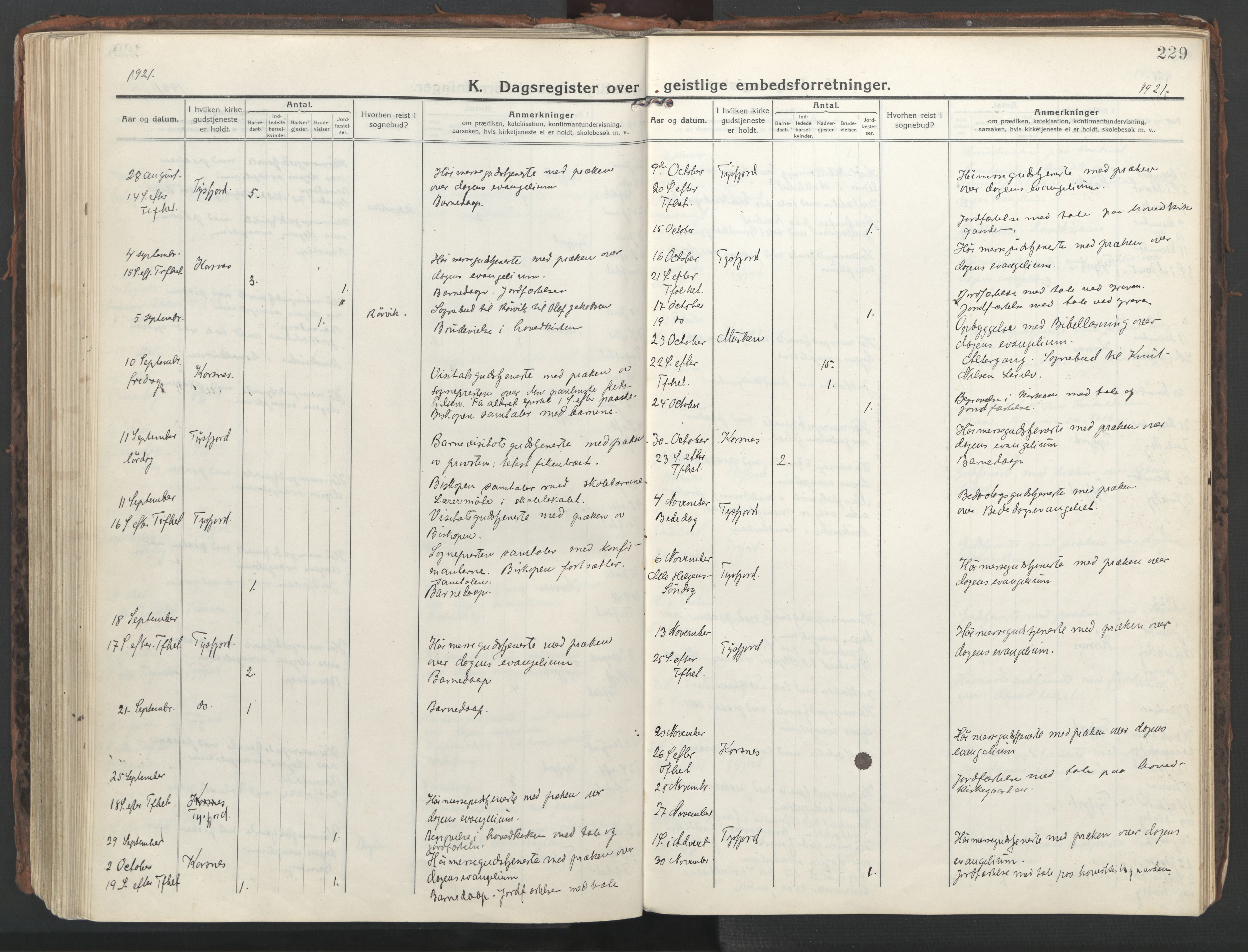 Ministerialprotokoller, klokkerbøker og fødselsregistre - Nordland, SAT/A-1459/861/L0872: Parish register (official) no. 861A07, 1915-1924, p. 229