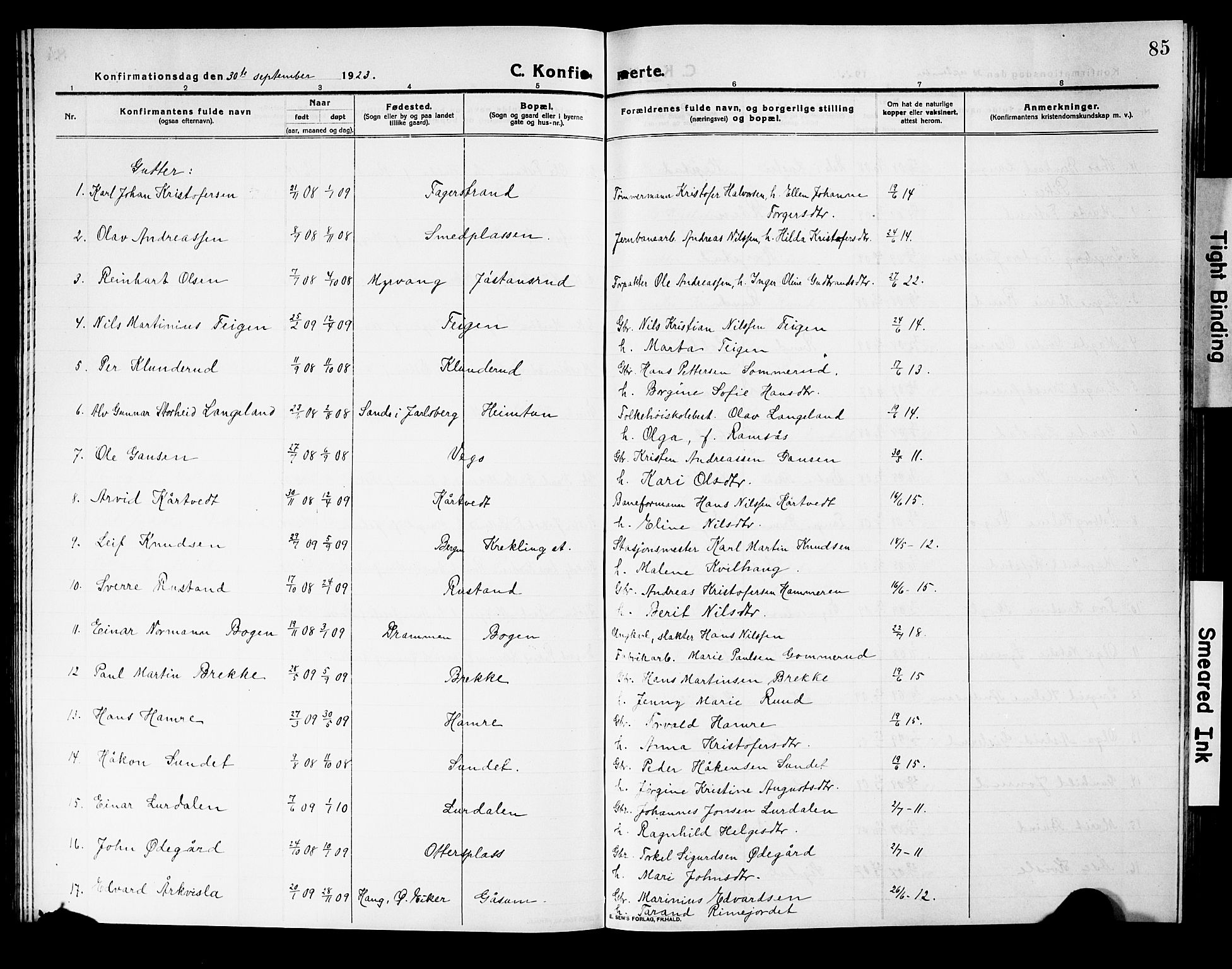 Fiskum kirkebøker, AV/SAKO-A-15/G/Ga/L0006: Parish register (copy) no. 6, 1913-1927, p. 85