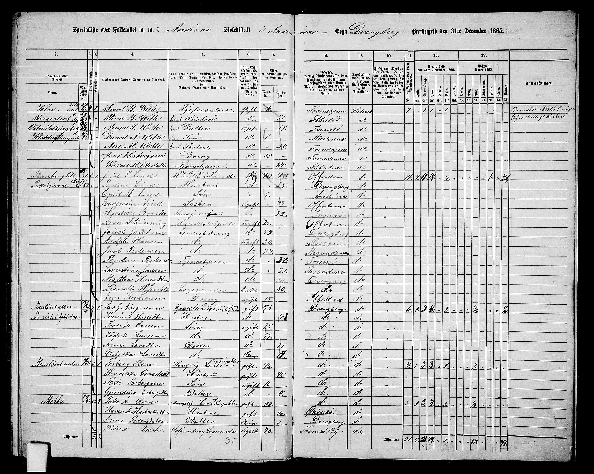 RA, 1865 census for Dverberg, 1865, p. 56