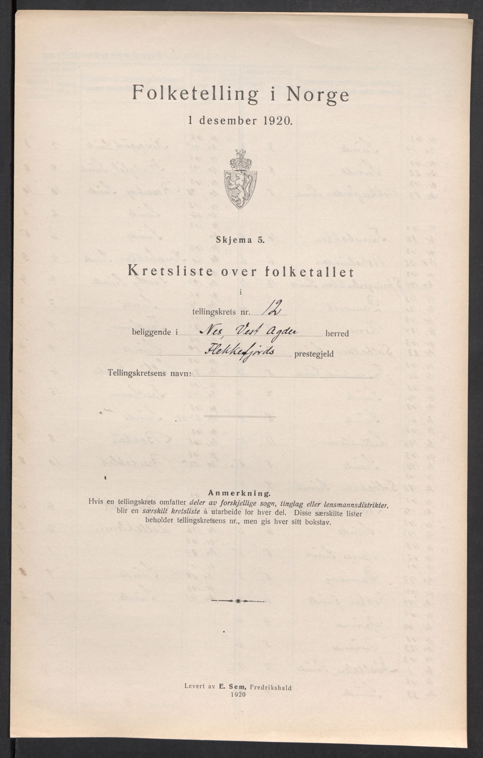 SAK, 1920 census for Nes (V-A), 1920, p. 41