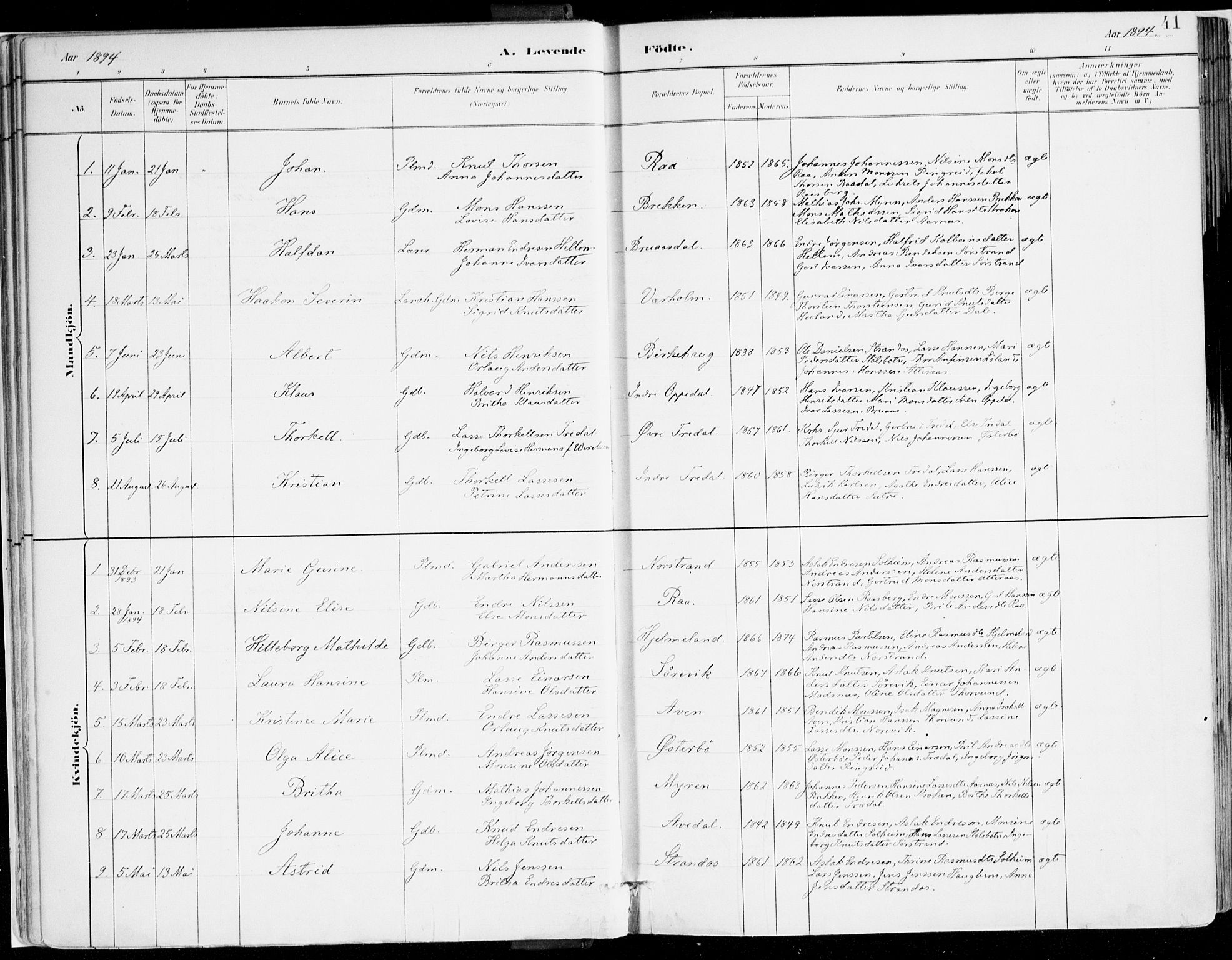 Lavik sokneprestembete, AV/SAB-A-80901: Parish register (official) no. B 1, 1882-1908, p. 41