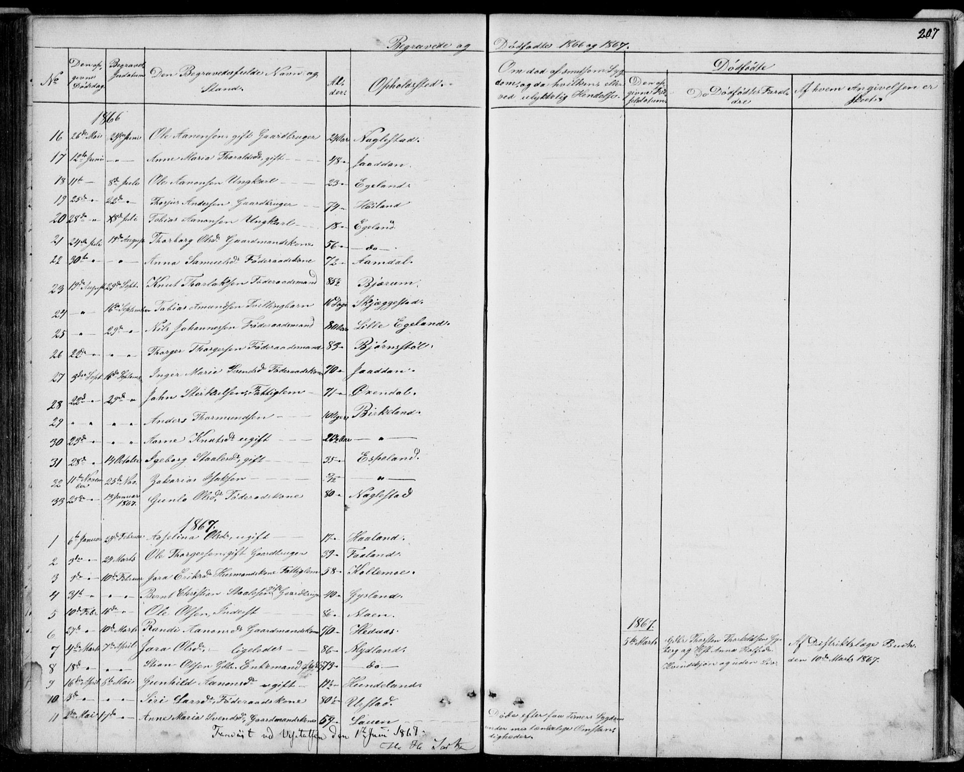 Hægebostad sokneprestkontor, AV/SAK-1111-0024/F/Fb/Fba/L0002: Parish register (copy) no. B 2, 1851-1882, p. 207