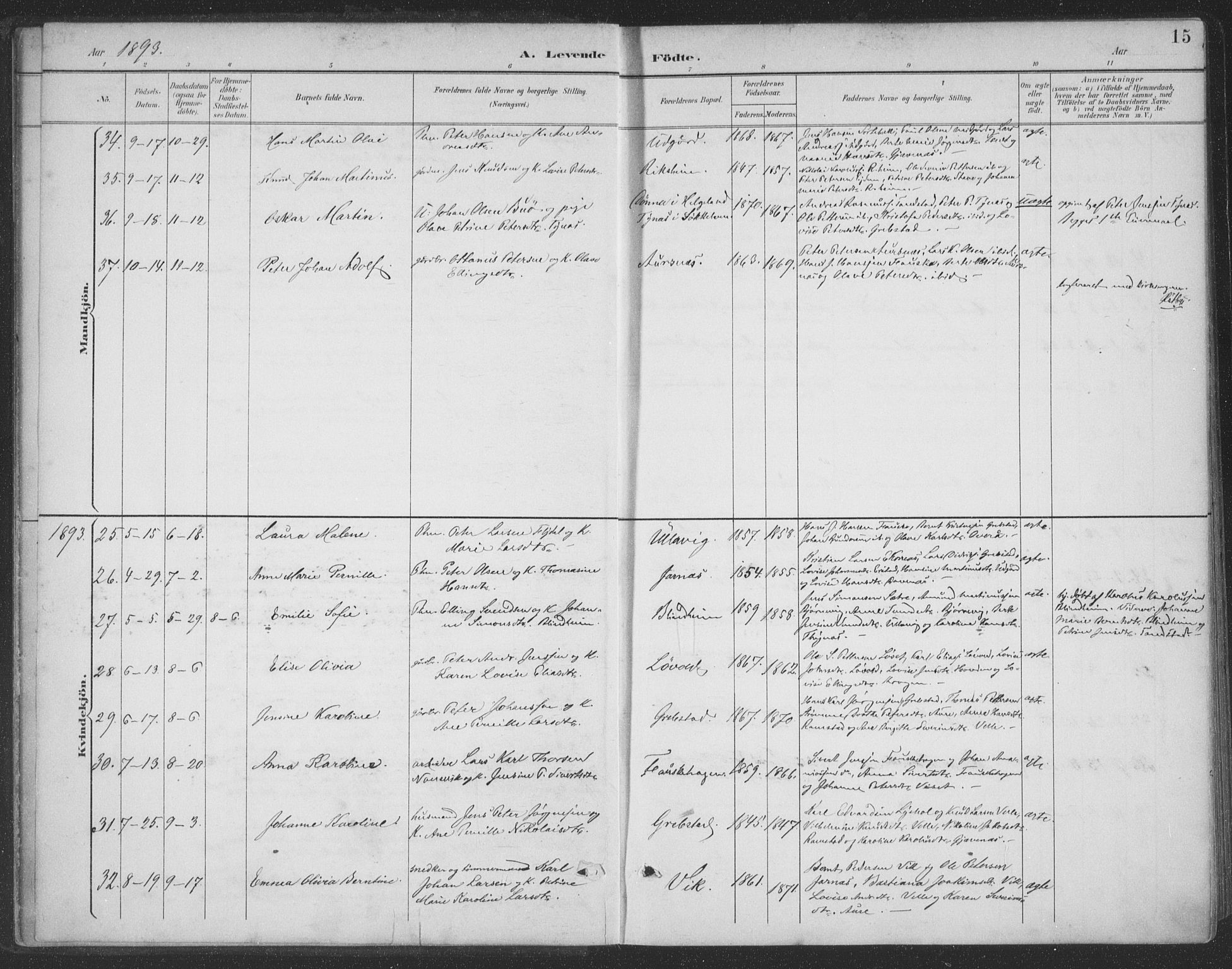 Ministerialprotokoller, klokkerbøker og fødselsregistre - Møre og Romsdal, SAT/A-1454/523/L0335: Parish register (official) no. 523A02, 1891-1911, p. 15