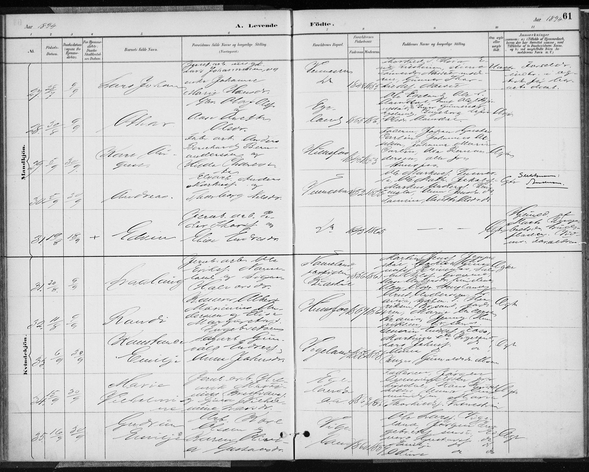 Vennesla sokneprestkontor, AV/SAK-1111-0045/Fa/Fab/L0004: Parish register (official) no. A 4, 1884-1896, p. 61