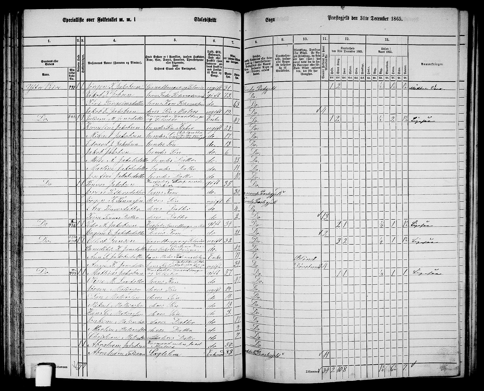 RA, 1865 census for Vanse/Vanse og Farsund, 1865, p. 144