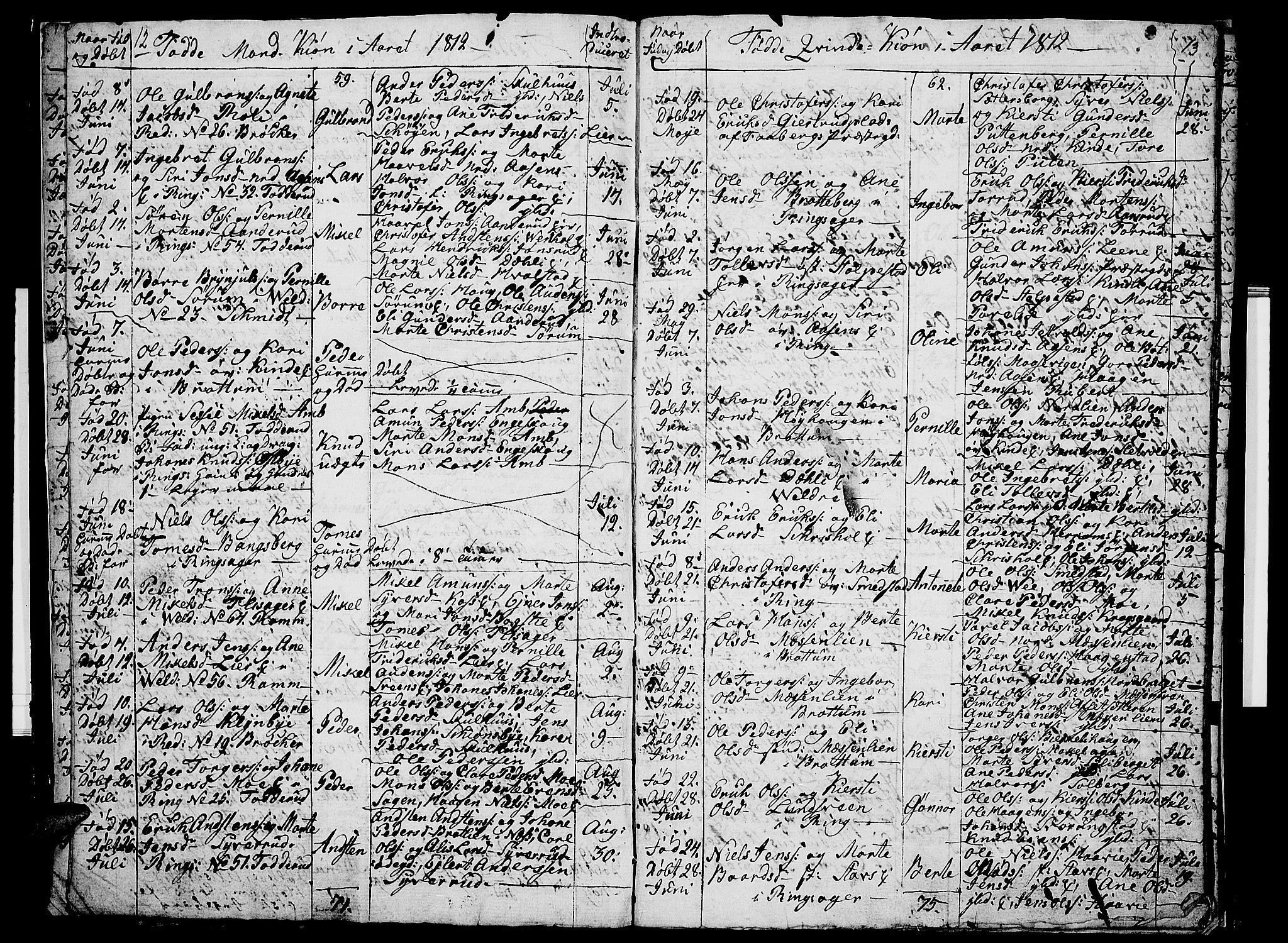 Ringsaker prestekontor, AV/SAH-PREST-014/I/Ia/L0005/0009: Parish register draft no. 5.9, 1811-1814, p. 12-13