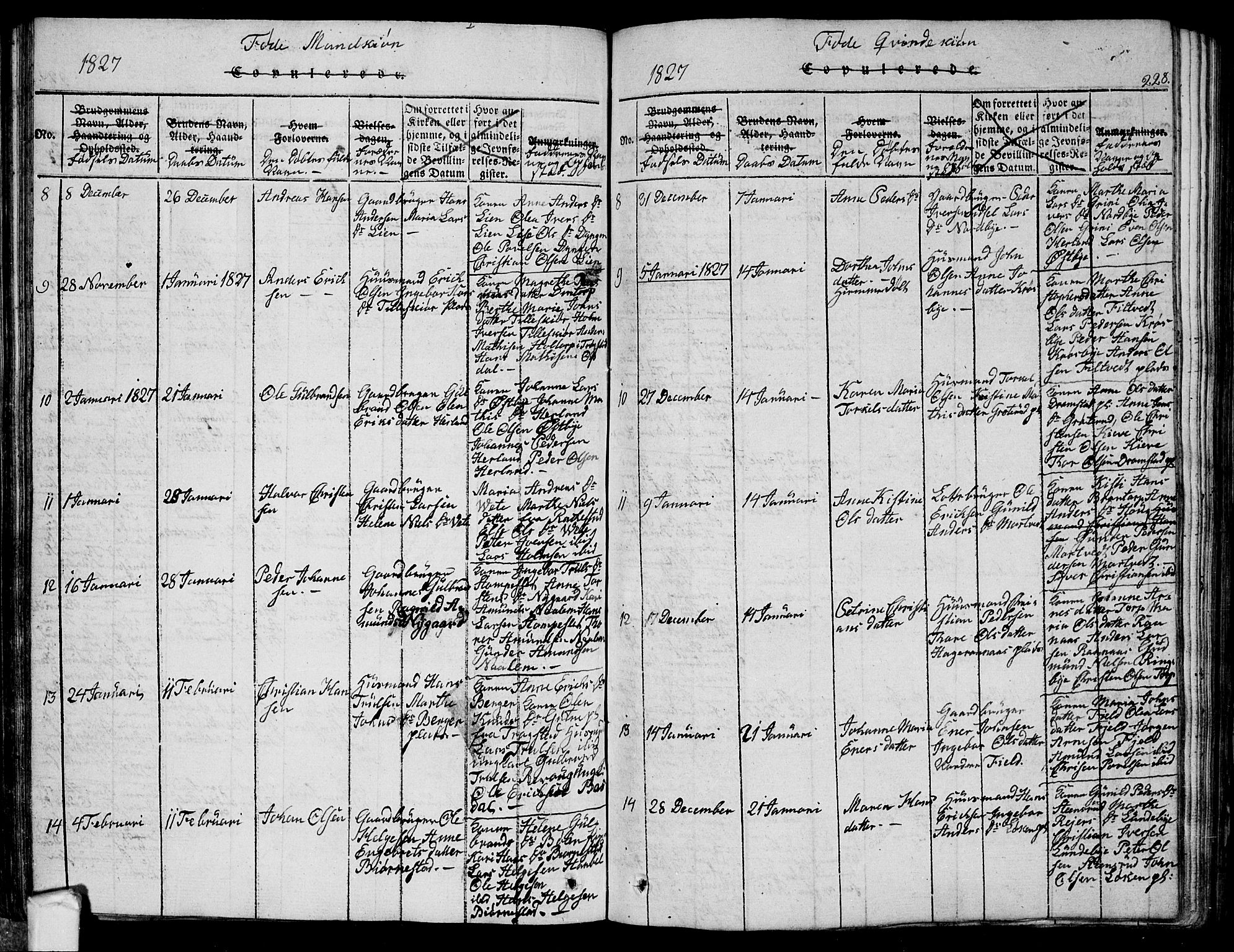 Eidsberg prestekontor Kirkebøker, AV/SAO-A-10905/G/Ga/L0001: Parish register (copy) no. I 1, 1814-1831, p. 228