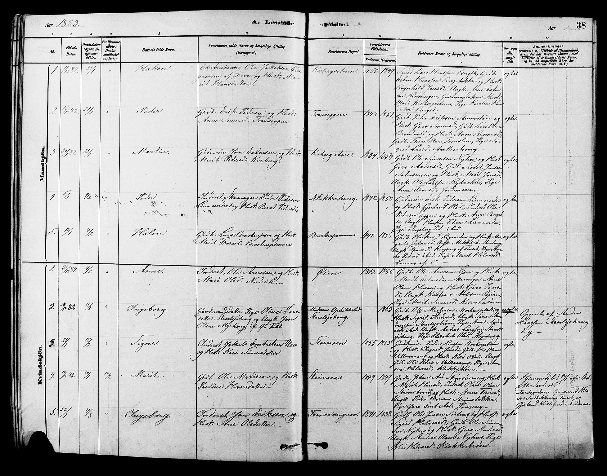 Alvdal prestekontor, SAH/PREST-060/H/Ha/Hab/L0003: Parish register (copy) no. 3, 1878-1907, p. 38