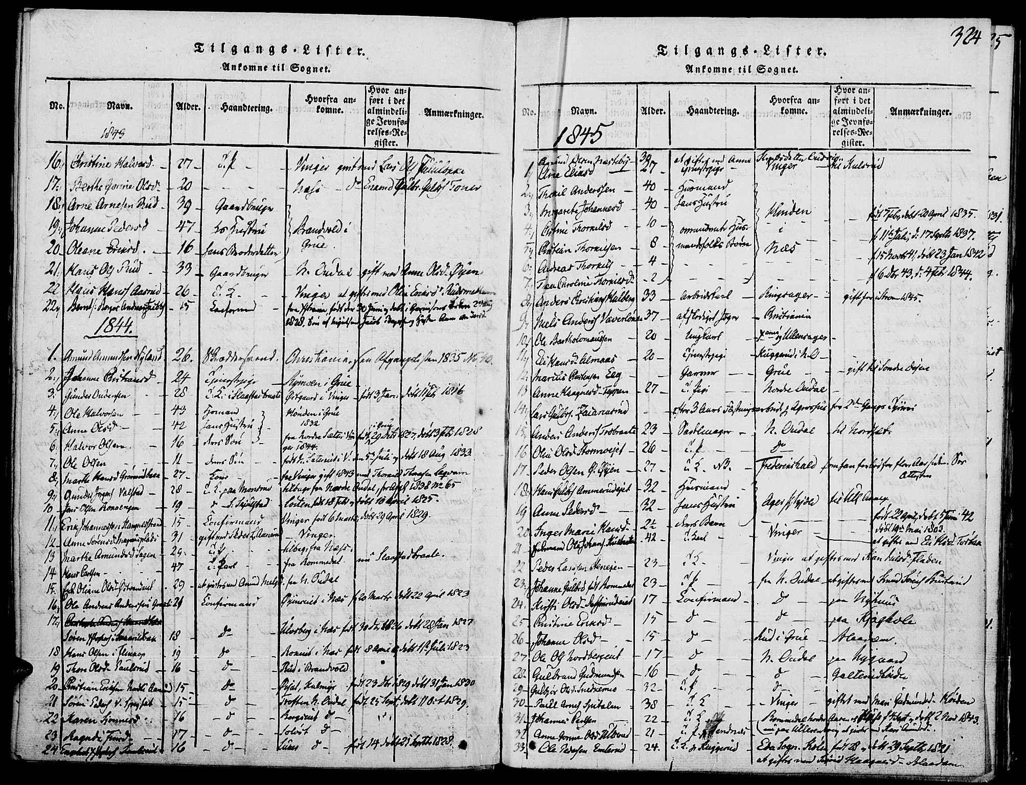 Strøm-Odalen prestekontor, AV/SAH-PREST-028/H/Ha/Haa/L0006: Parish register (official) no. 6, 1814-1850, p. 324