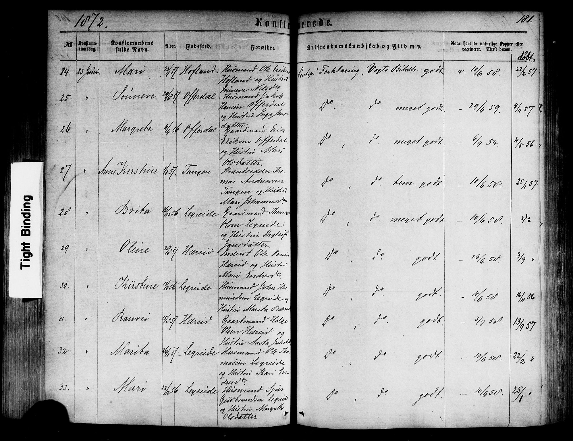 Årdal sokneprestembete, SAB/A-81701: Parish register (official) no. A 3, 1863-1886, p. 181