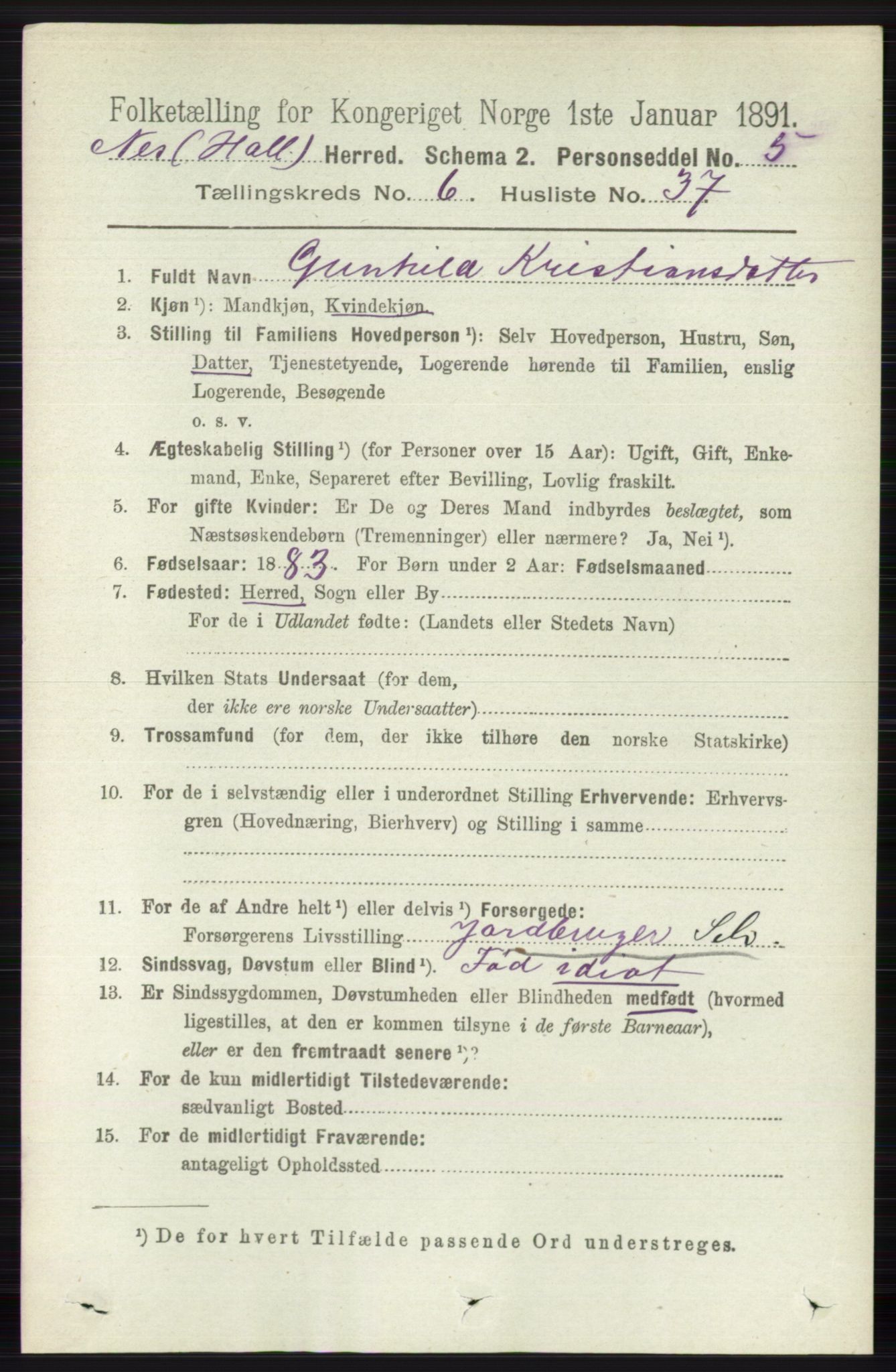 RA, 1891 census for 0616 Nes, 1891, p. 3248