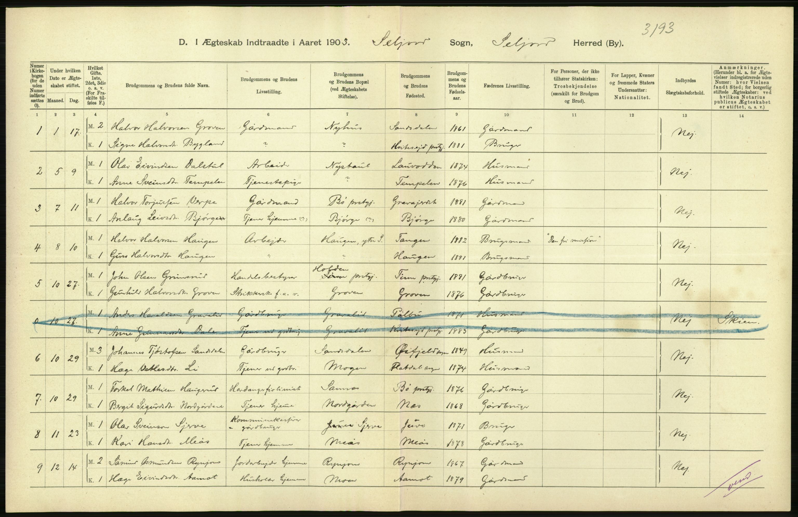 Statistisk sentralbyrå, Sosiodemografiske emner, Befolkning, AV/RA-S-2228/D/Df/Dfa/Dfaa/L0009: Bratsberg amt: Fødte, gifte, døde, 1903, p. 384