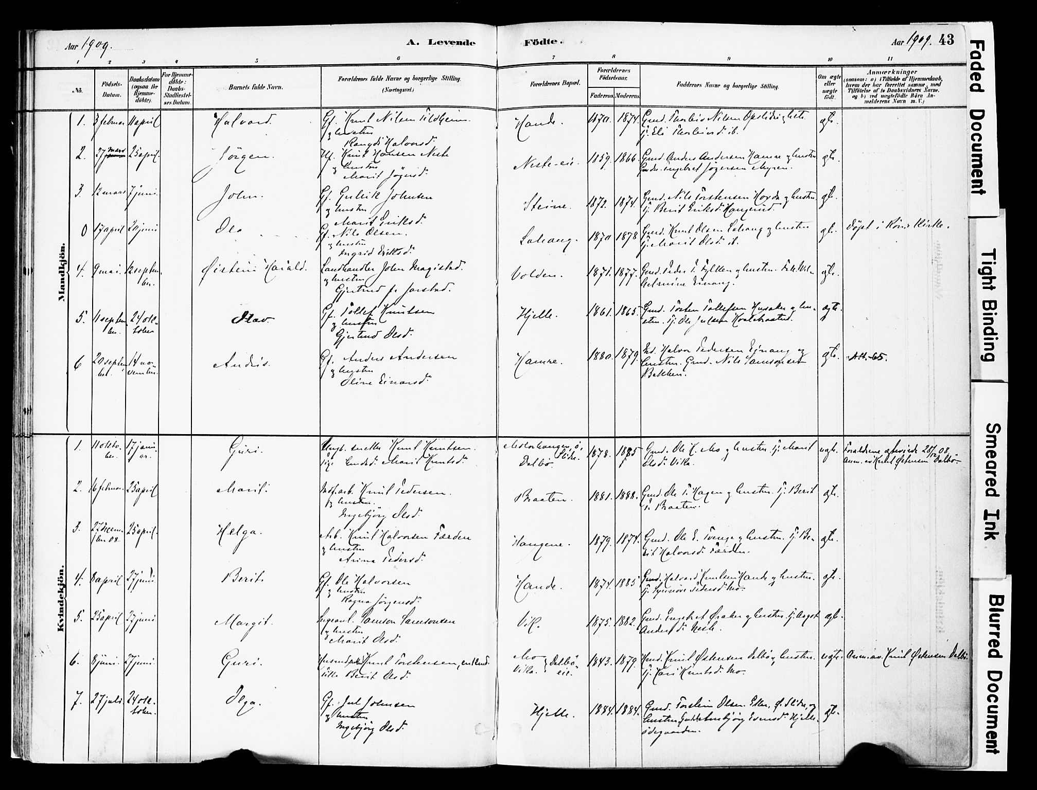 Vestre Slidre prestekontor, SAH/PREST-136/H/Ha/Haa/L0004: Parish register (official) no. 4, 1881-1911, p. 43