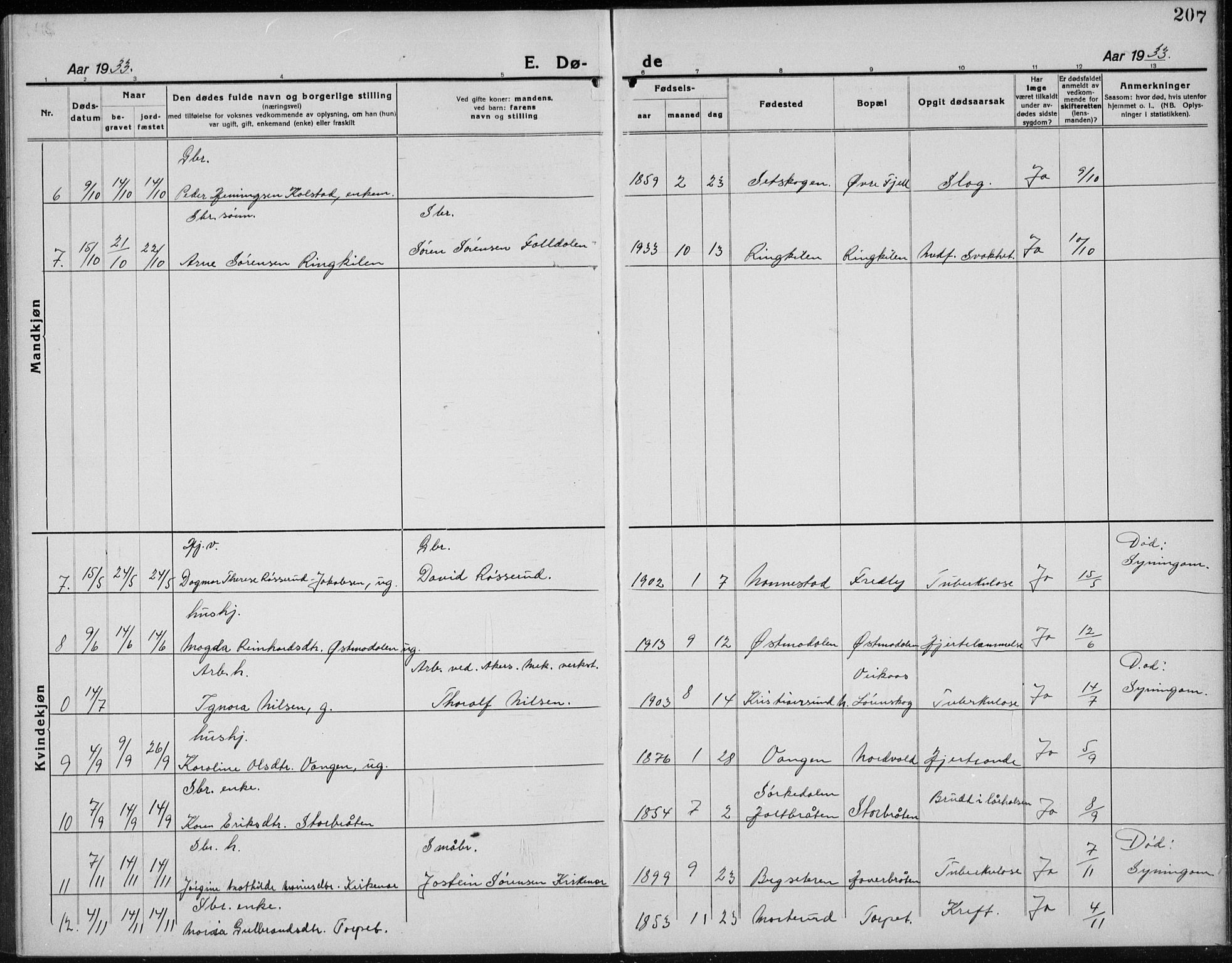 Nord-Odal prestekontor, AV/SAH-PREST-032/H/Ha/Hab/L0004: Parish register (copy) no. 4, 1921-1936, p. 207