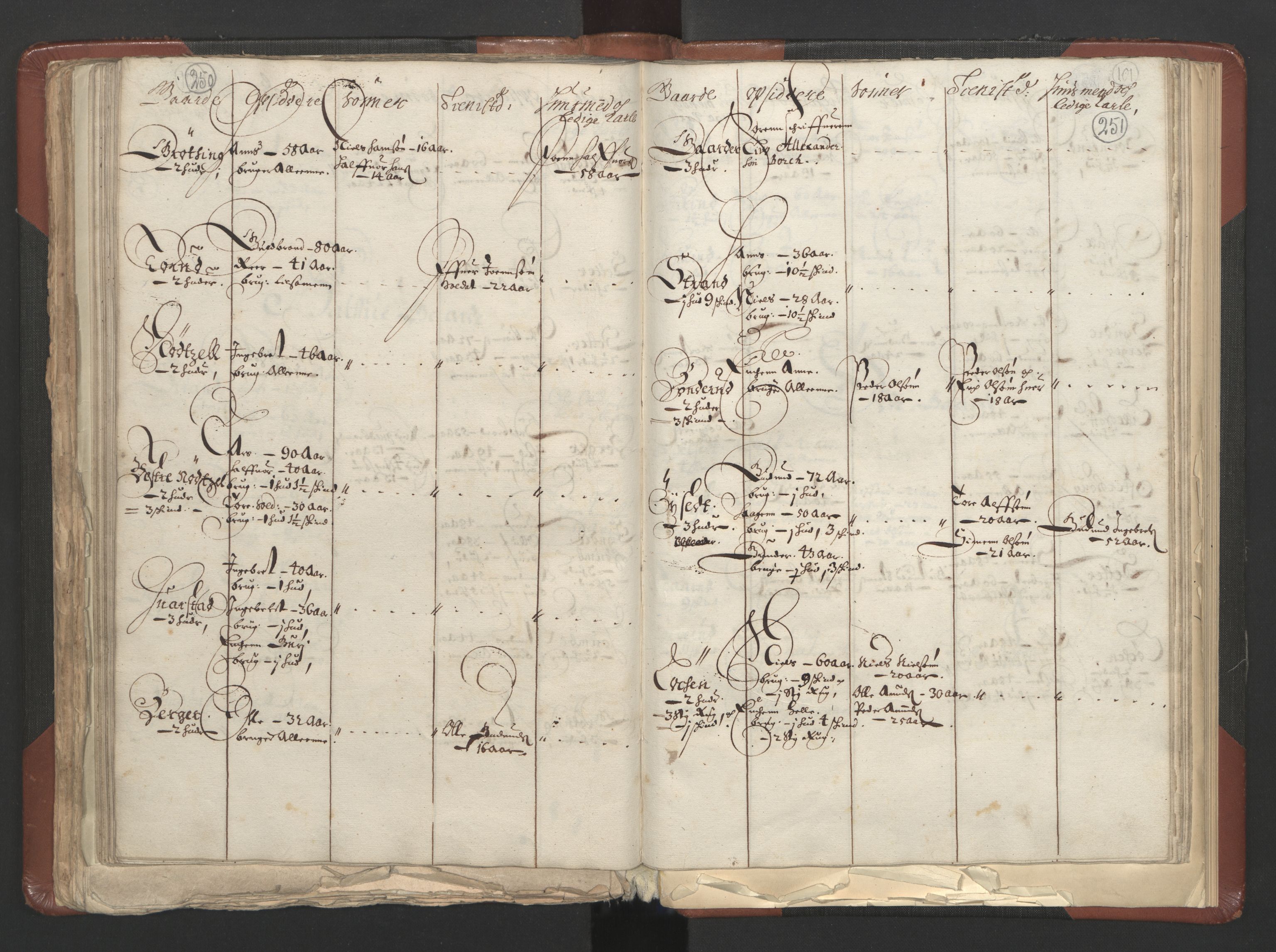 RA, Bailiff's Census 1664-1666, no. 3: Hedmark fogderi and Solør, Østerdal and Odal fogderi, 1664, p. 250-251