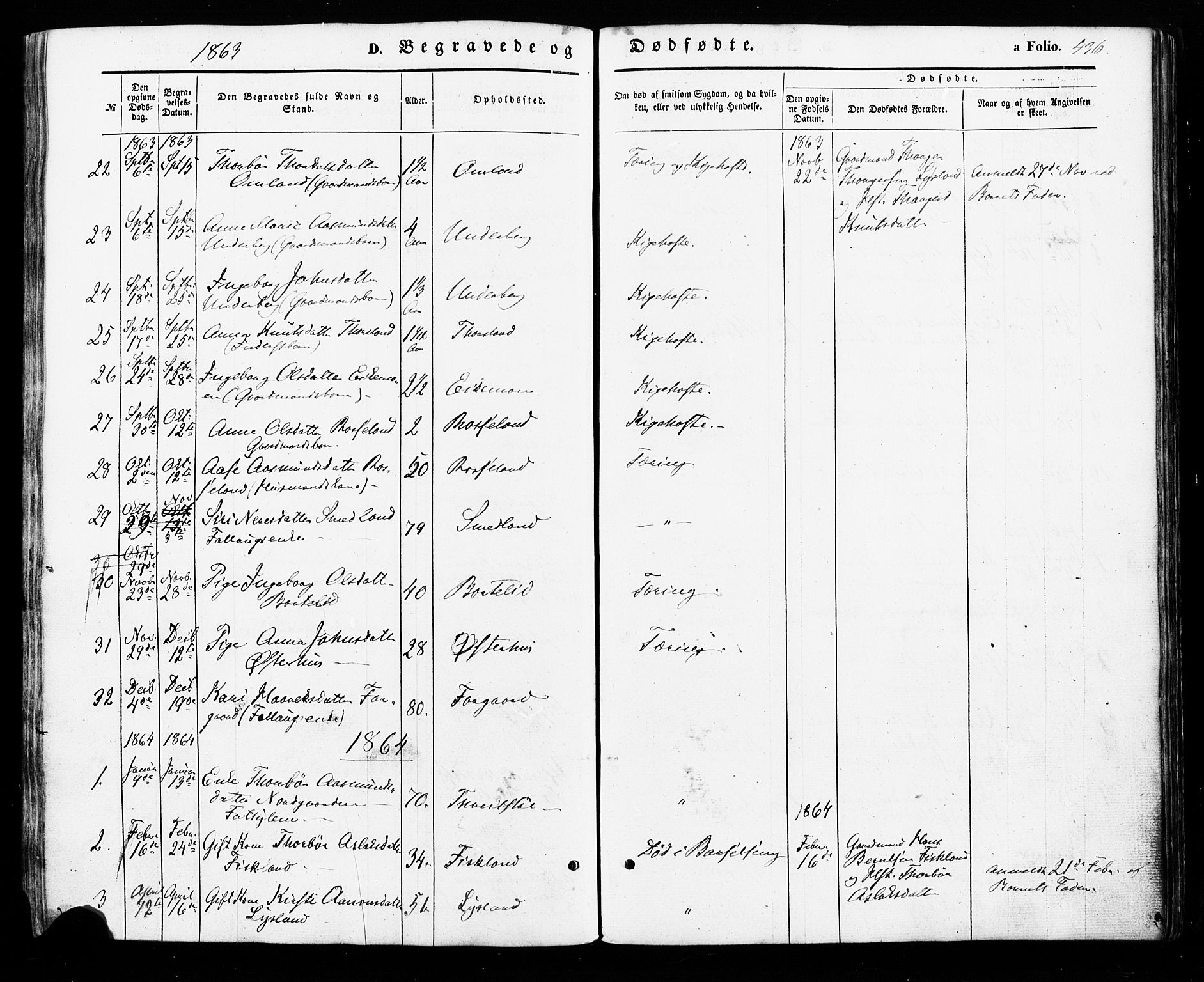 Åseral sokneprestkontor, SAK/1111-0051/F/Fa/L0002: Parish register (official) no. A 2, 1854-1884, p. 436