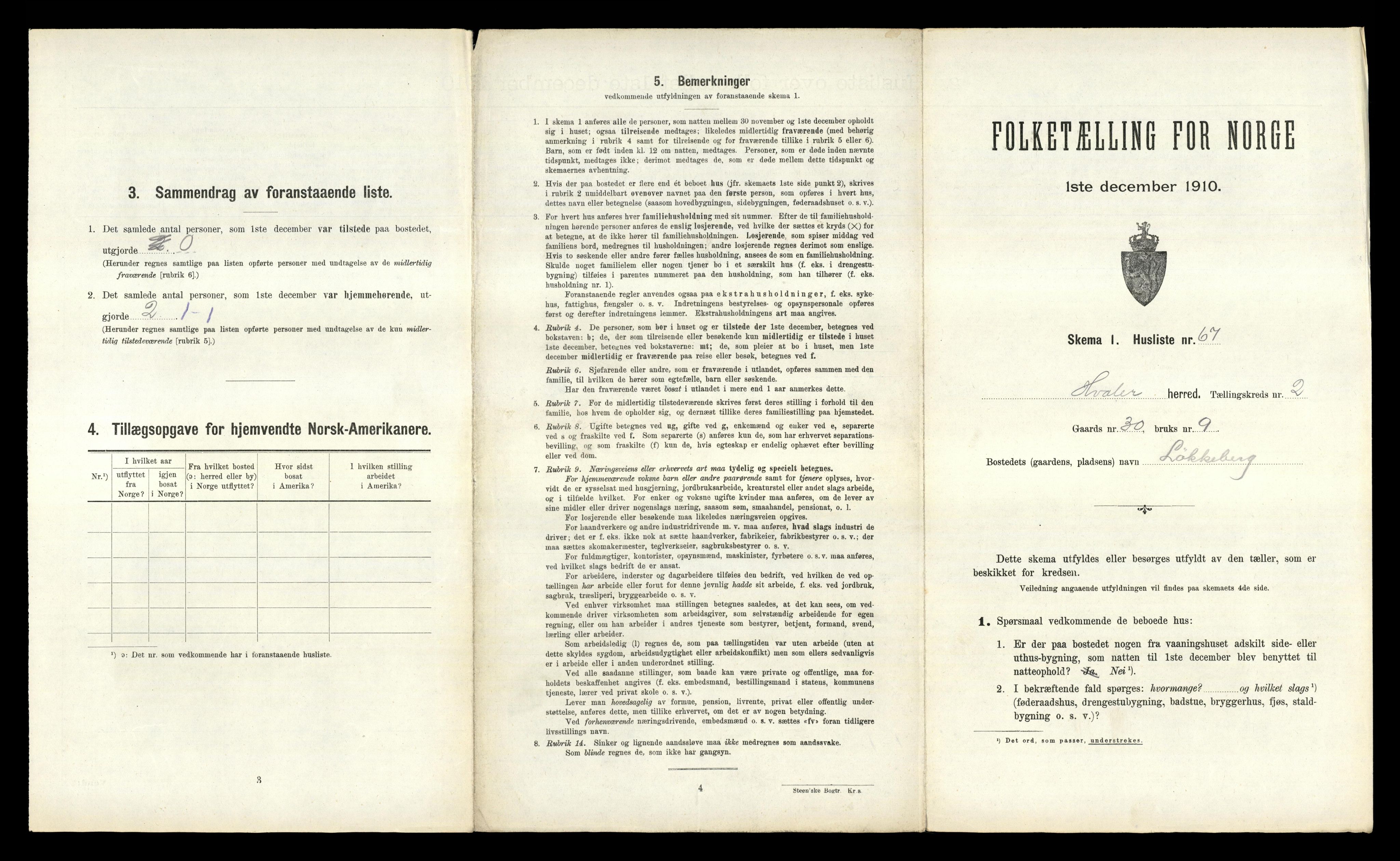 RA, 1910 census for Hvaler, 1910, p. 250