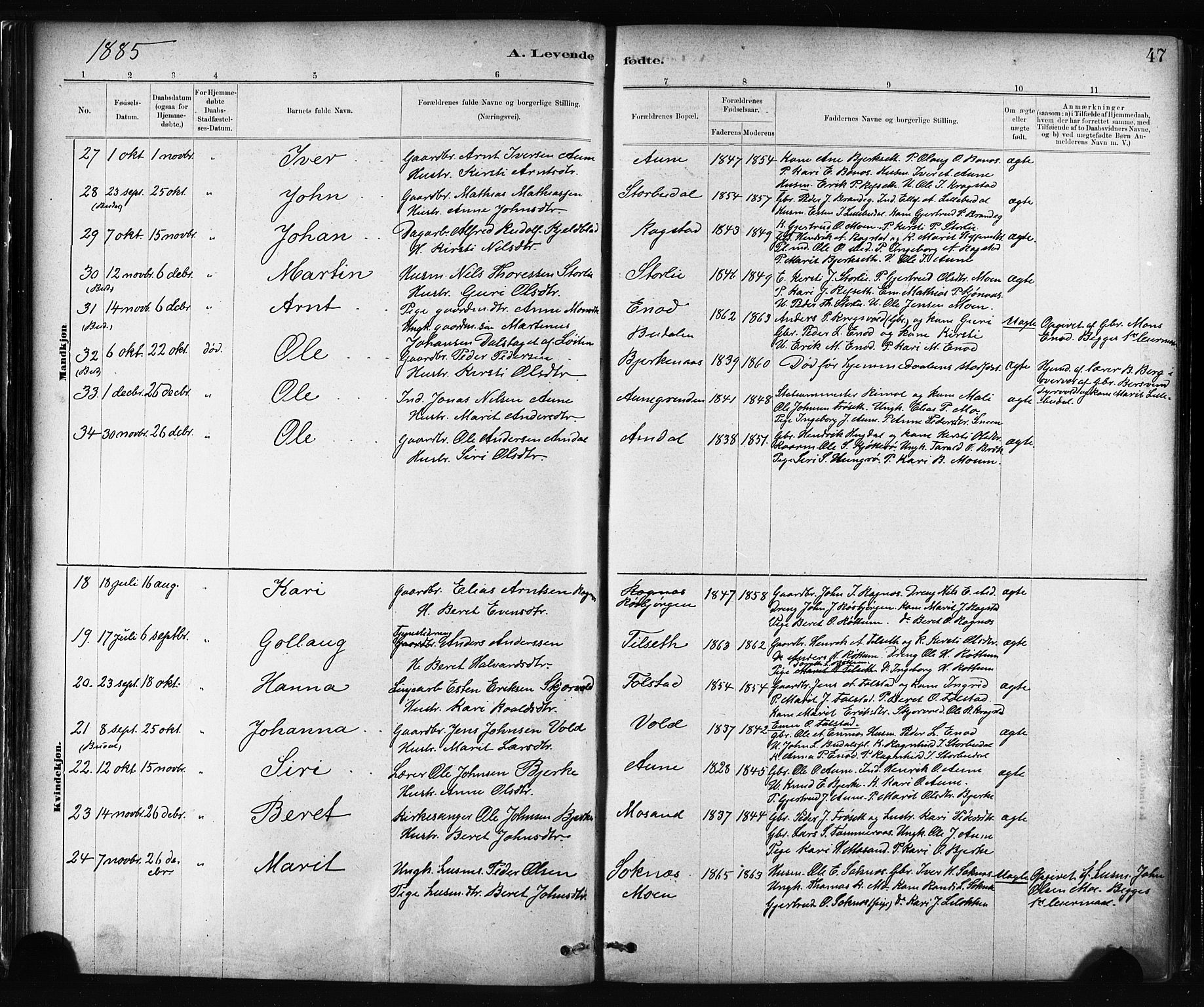 Ministerialprotokoller, klokkerbøker og fødselsregistre - Sør-Trøndelag, AV/SAT-A-1456/687/L1002: Parish register (official) no. 687A08, 1878-1890, p. 47