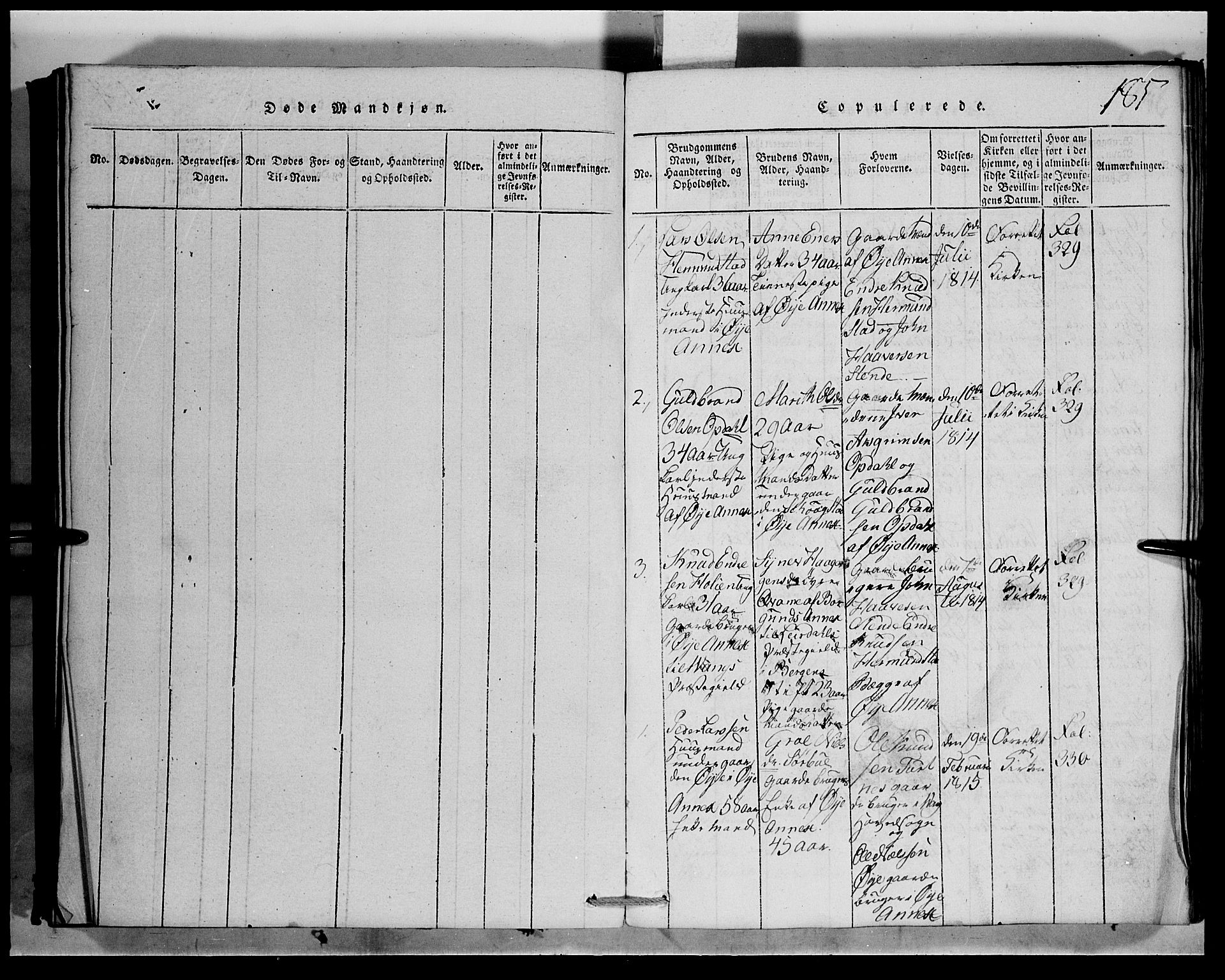 Vang prestekontor, Valdres, SAH/PREST-140/H/Hb/L0001: Parish register (copy) no. 1, 1814-1820, p. 185