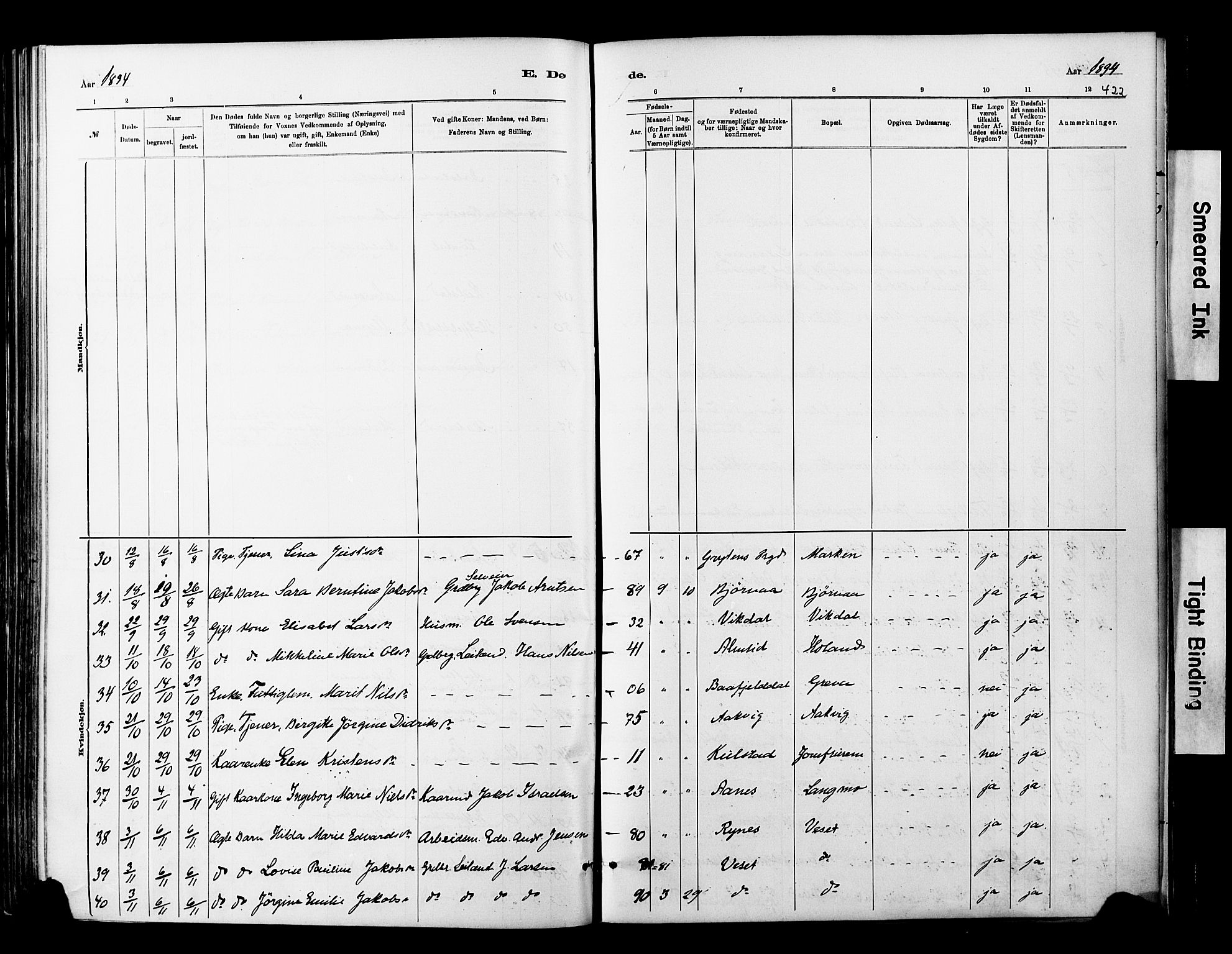 Ministerialprotokoller, klokkerbøker og fødselsregistre - Nordland, SAT/A-1459/820/L0295: Parish register (official) no. 820A16, 1880-1896, p. 422