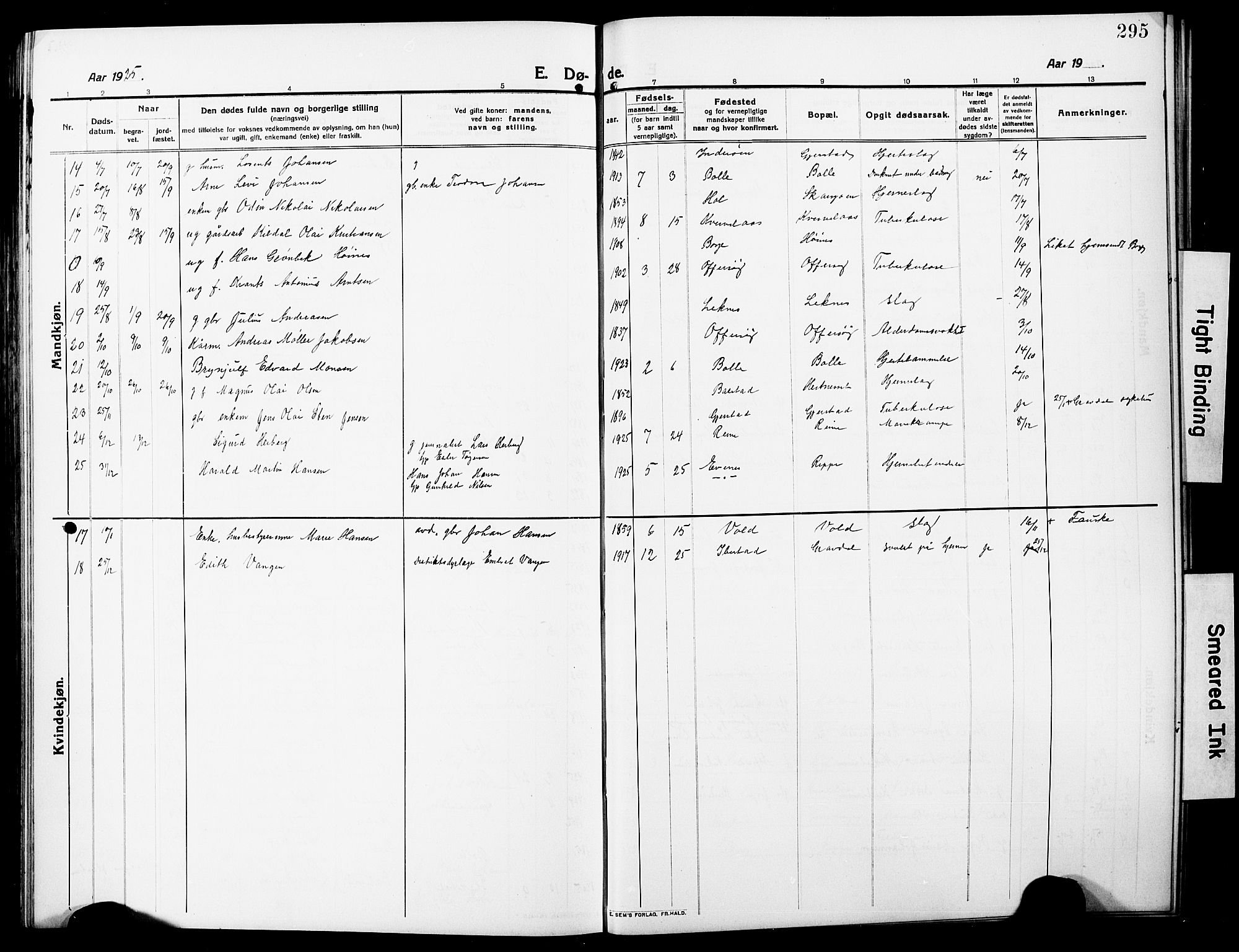 Ministerialprotokoller, klokkerbøker og fødselsregistre - Nordland, AV/SAT-A-1459/881/L1169: Parish register (copy) no. 881C06, 1912-1930, p. 295