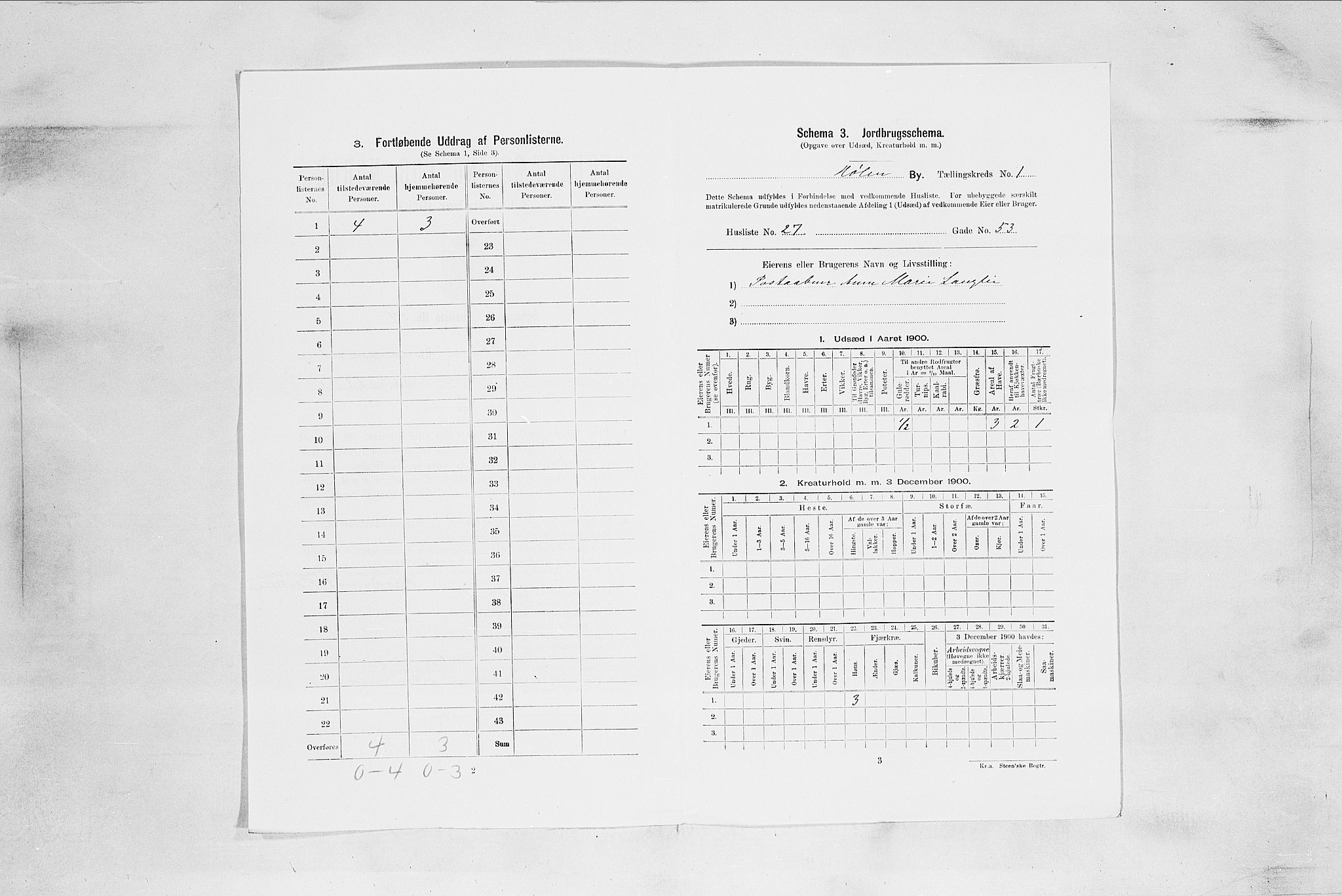 SAO, 1900 census for Hølen, 1900