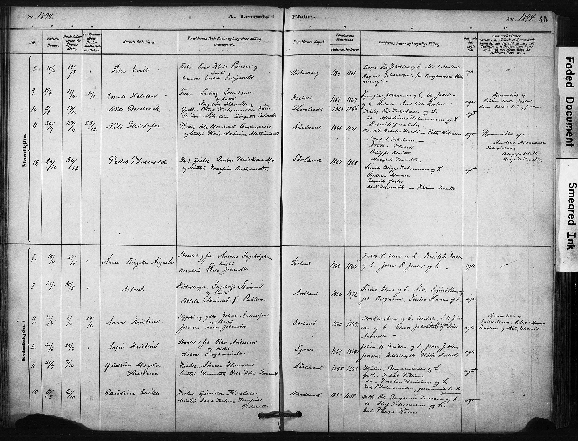 Ministerialprotokoller, klokkerbøker og fødselsregistre - Nordland, AV/SAT-A-1459/807/L0122: Parish register (official) no. 807A05, 1880-1902, p. 45