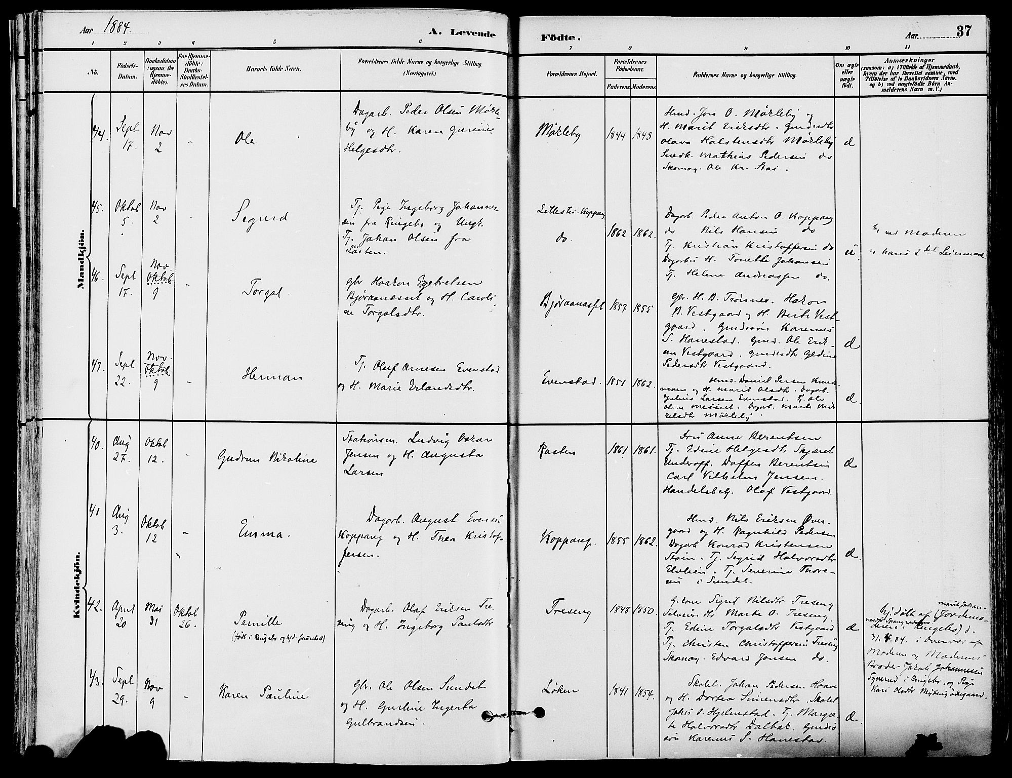 Stor-Elvdal prestekontor, AV/SAH-PREST-052/H/Ha/Haa/L0002: Parish register (official) no. 2, 1882-1907, p. 37