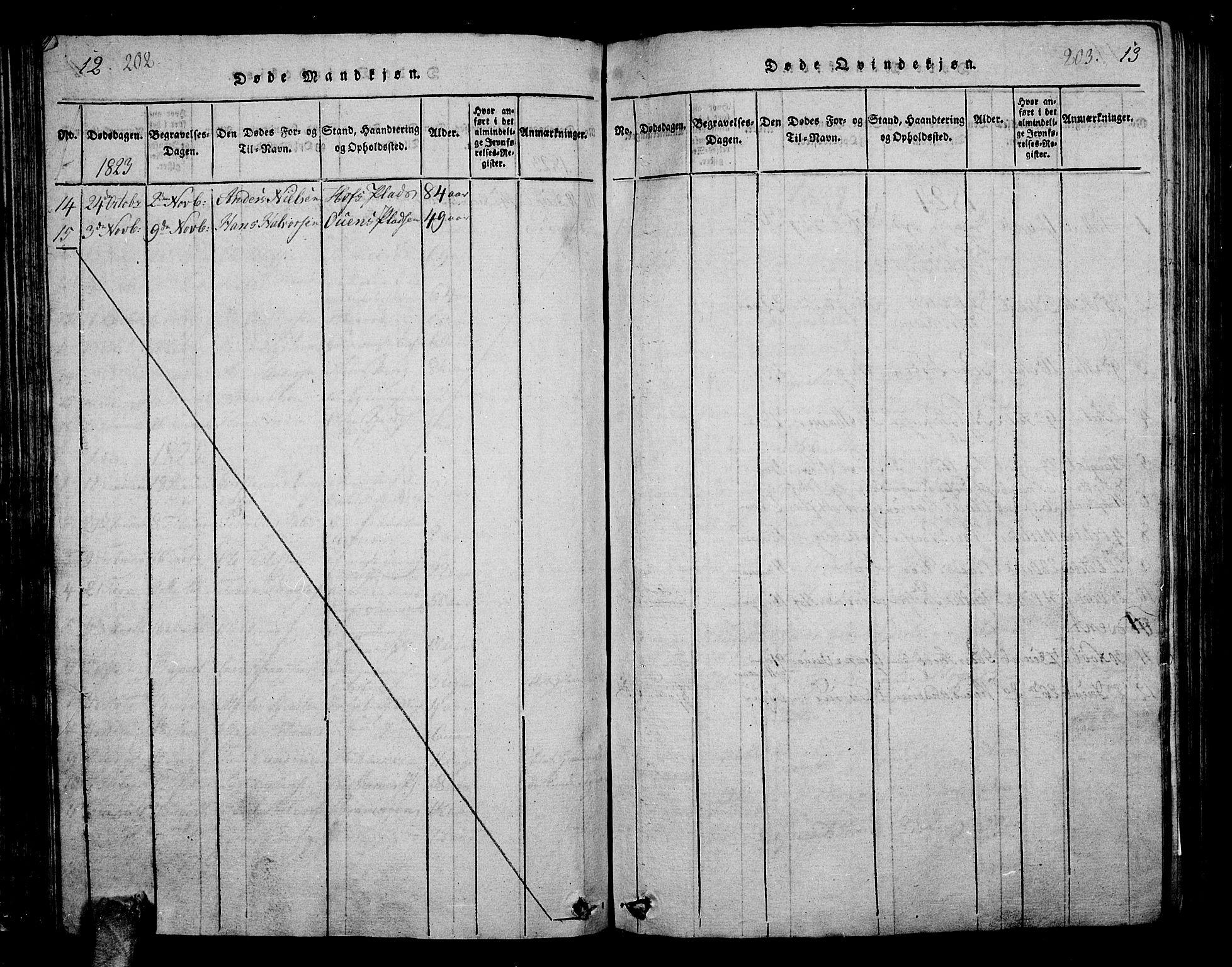 Hof kirkebøker, AV/SAKO-A-64/G/Ga/L0001: Parish register (copy) no. I 1, 1814-1844, p. 202-203