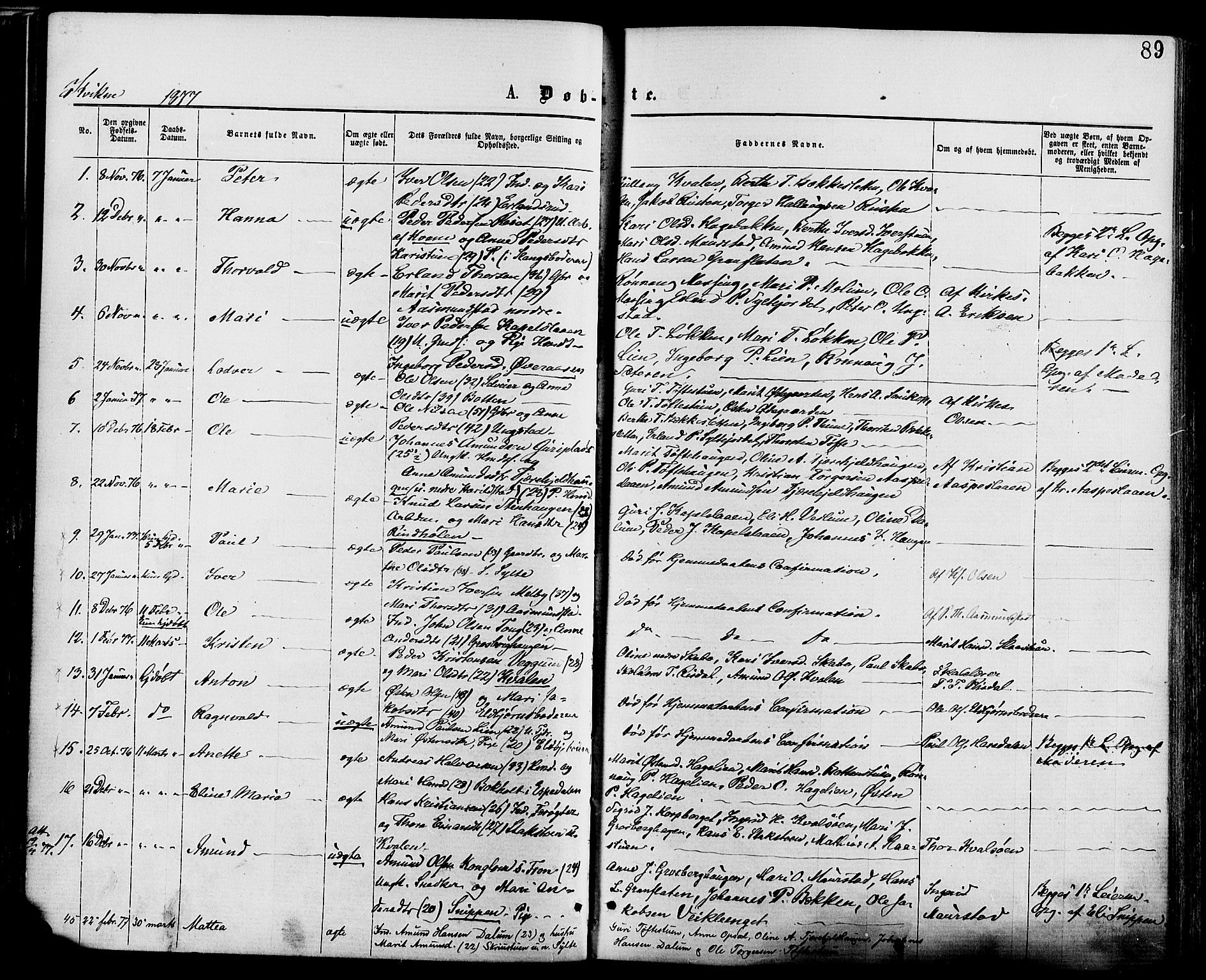 Nord-Fron prestekontor, SAH/PREST-080/H/Ha/Haa/L0002: Parish register (official) no. 2, 1865-1883, p. 89