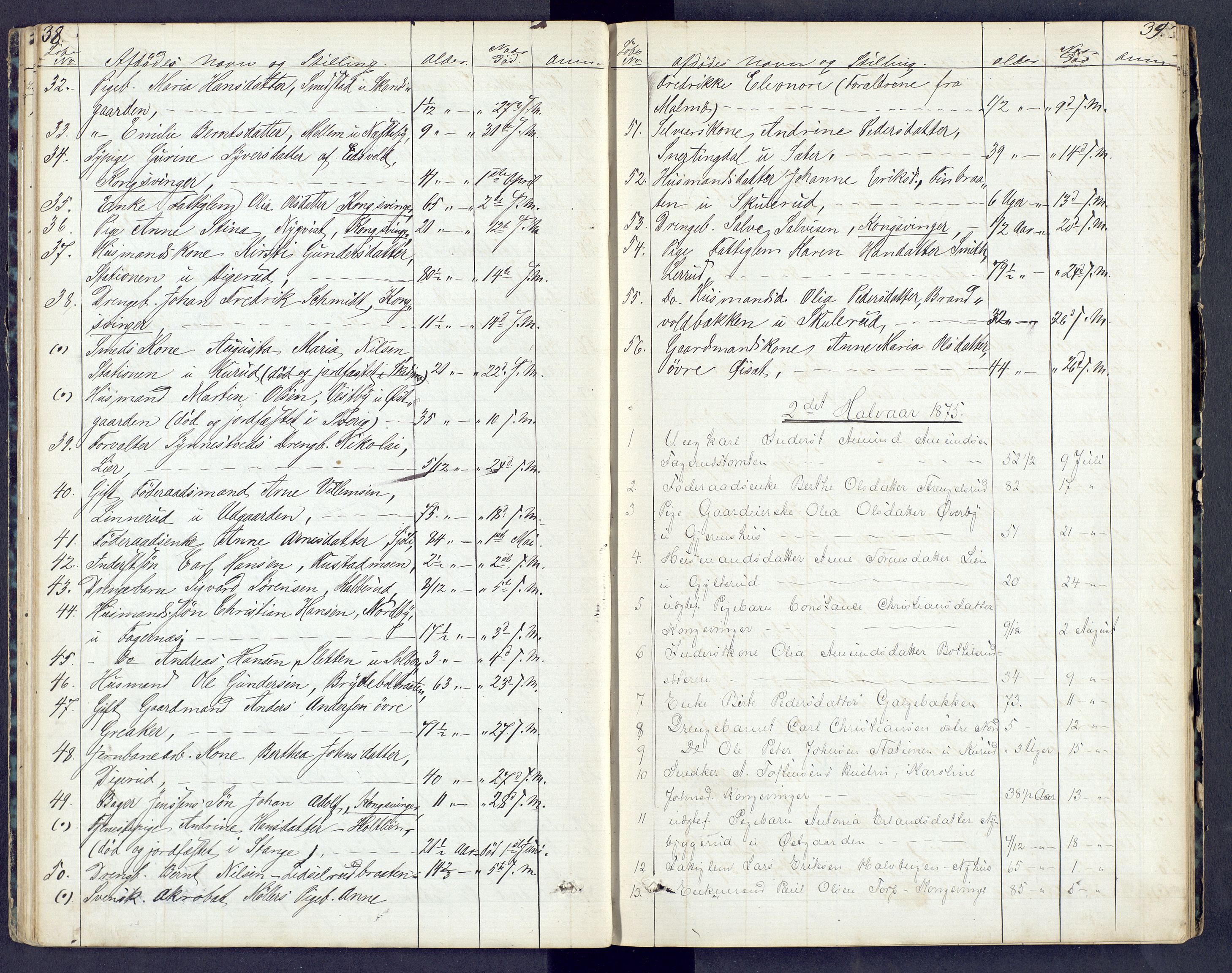 Vinger og Odal sorenskriveri, AV/SAH-TING-022/J/Jf/L0003: Dødsfallsprotokoll - Vinger og Eidskog, 1867-1881, p. 38-39