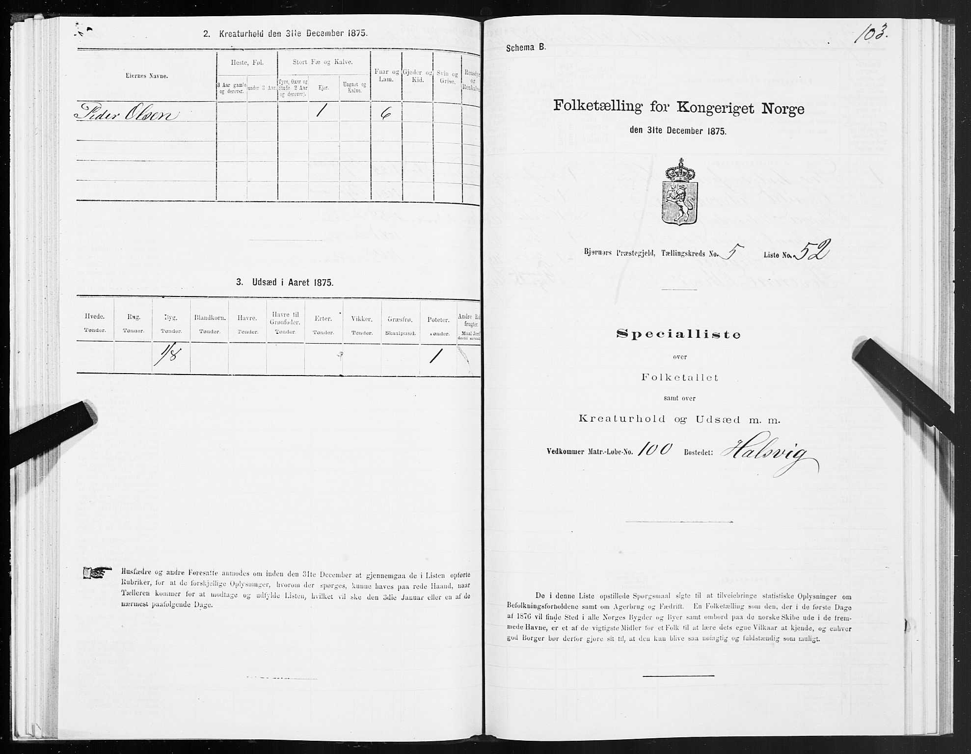 SAT, 1875 census for 1632P Bjørnør, 1875, p. 3103