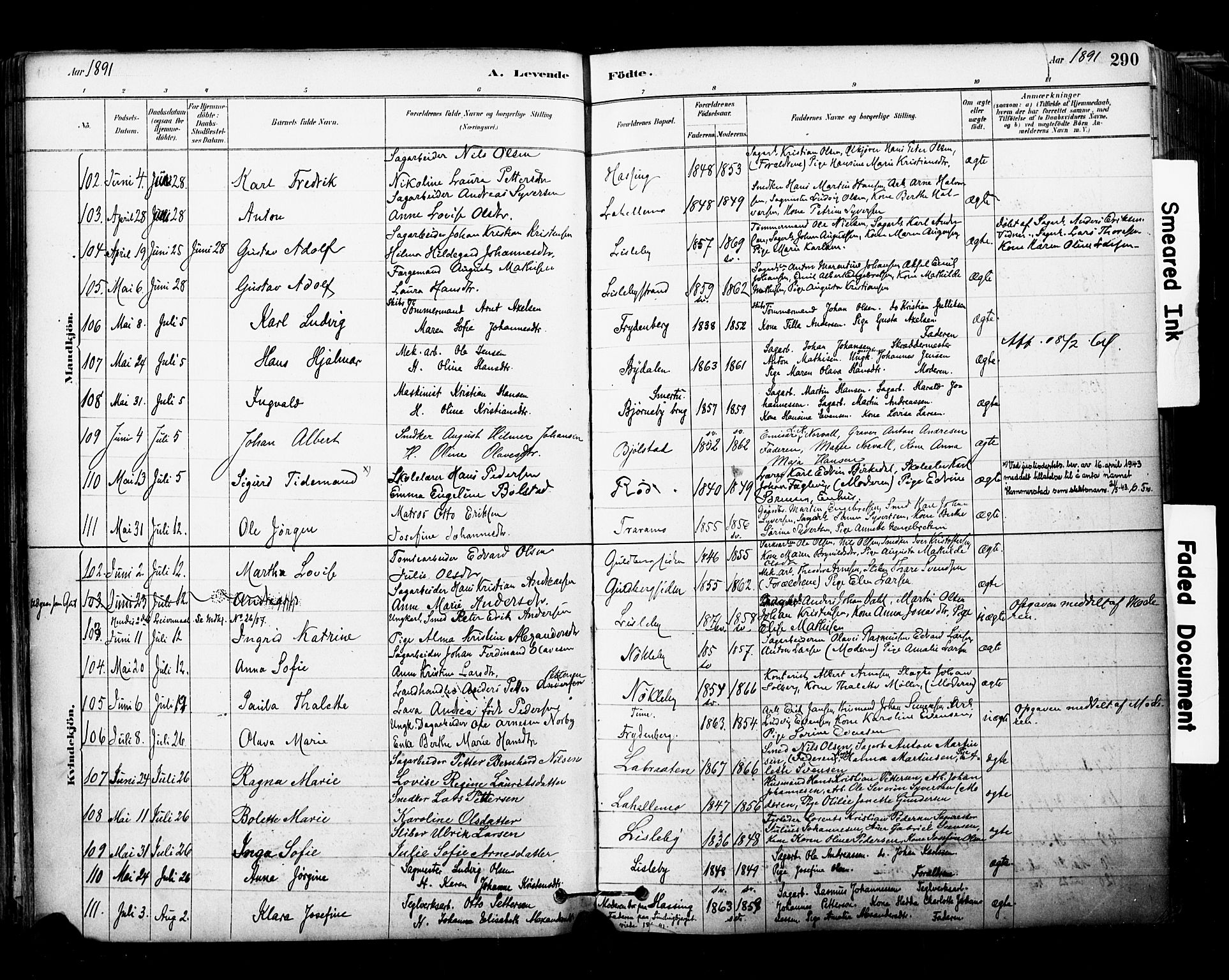 Glemmen prestekontor Kirkebøker, SAO/A-10908/F/Fa/L0011: Parish register (official) no. 11, 1878-1917, p. 290