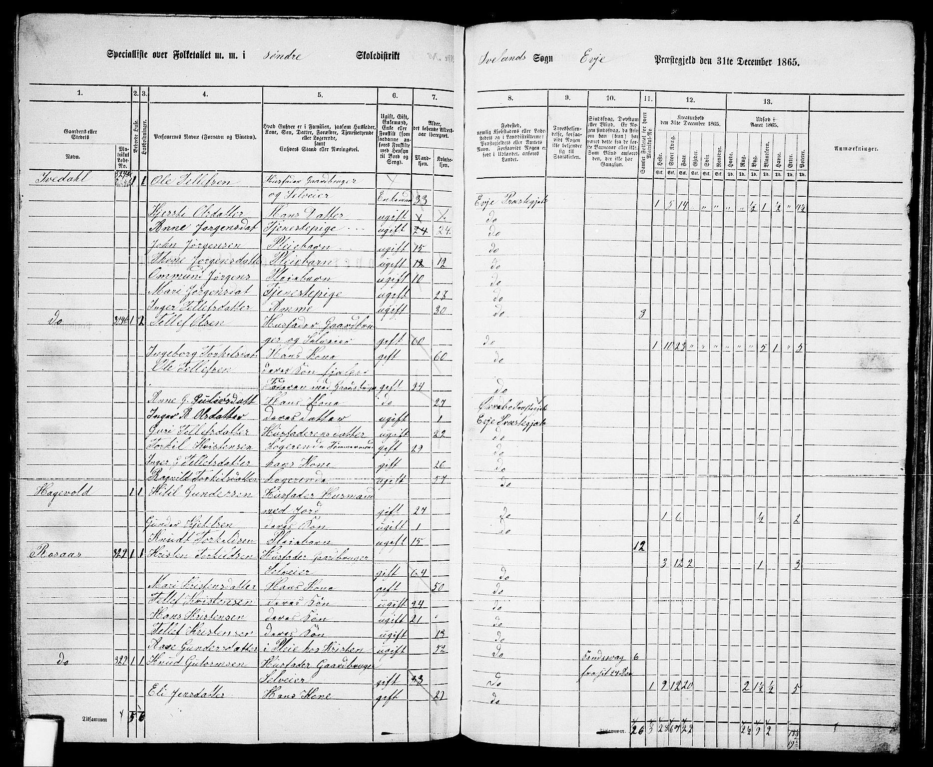 RA, 1865 census for Evje, 1865, p. 155