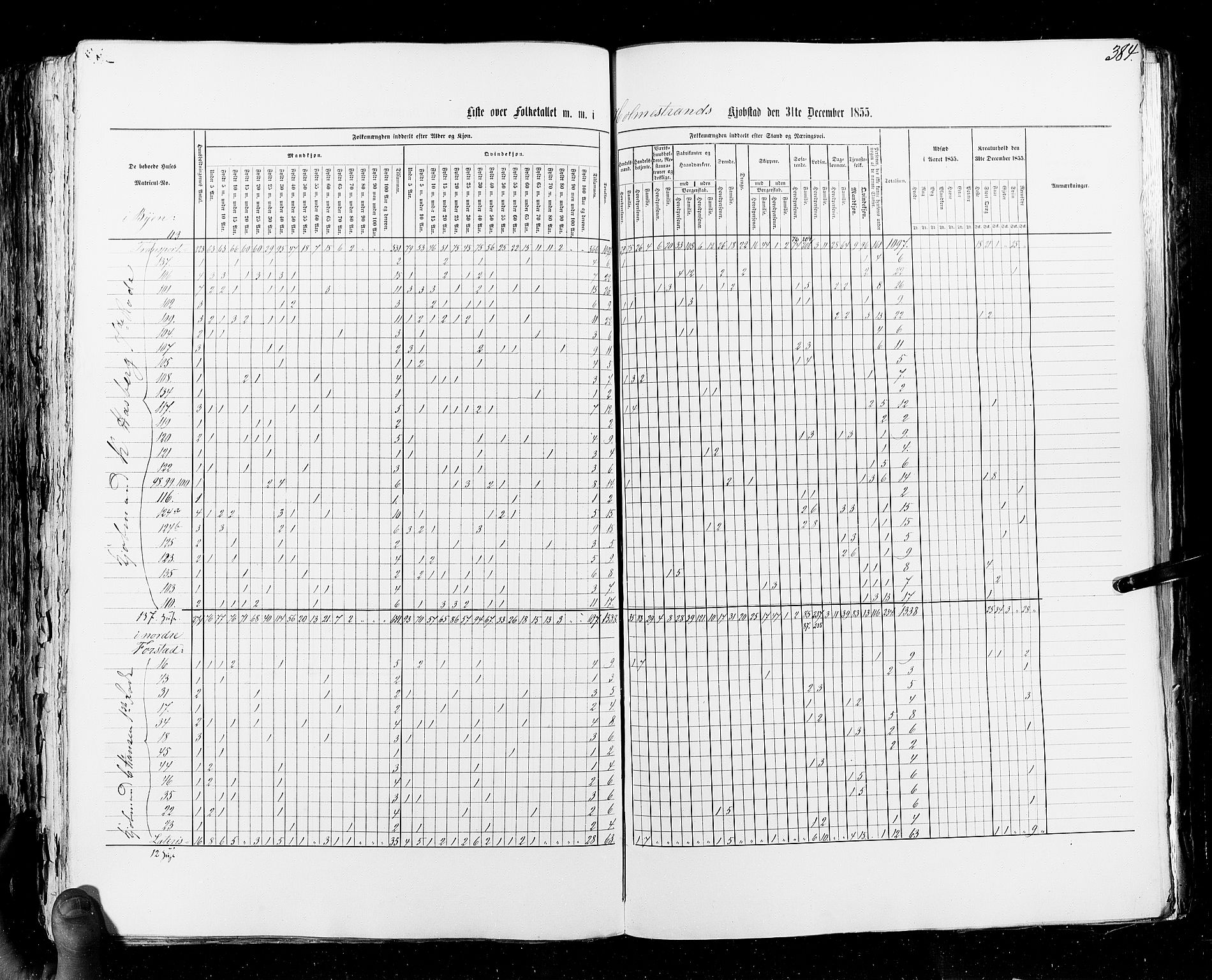 RA, Census 1855, vol. 7: Fredrikshald-Kragerø, 1855, p. 384