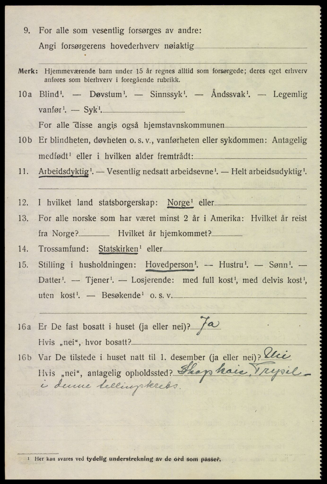 SAH, 1920 census for Trysil, 1920, p. 16144