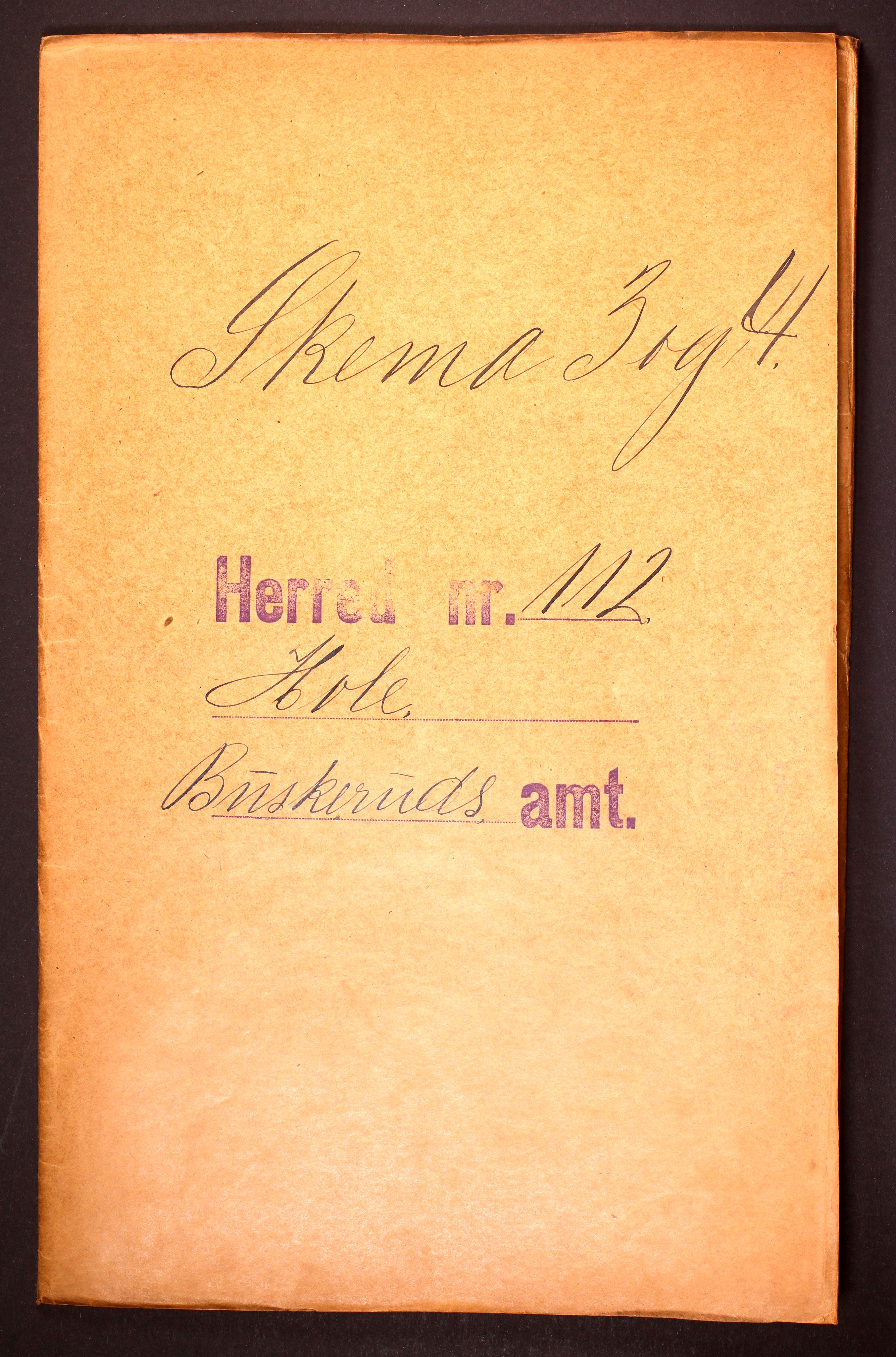 RA, 1910 census for Hole, 1910, p. 1
