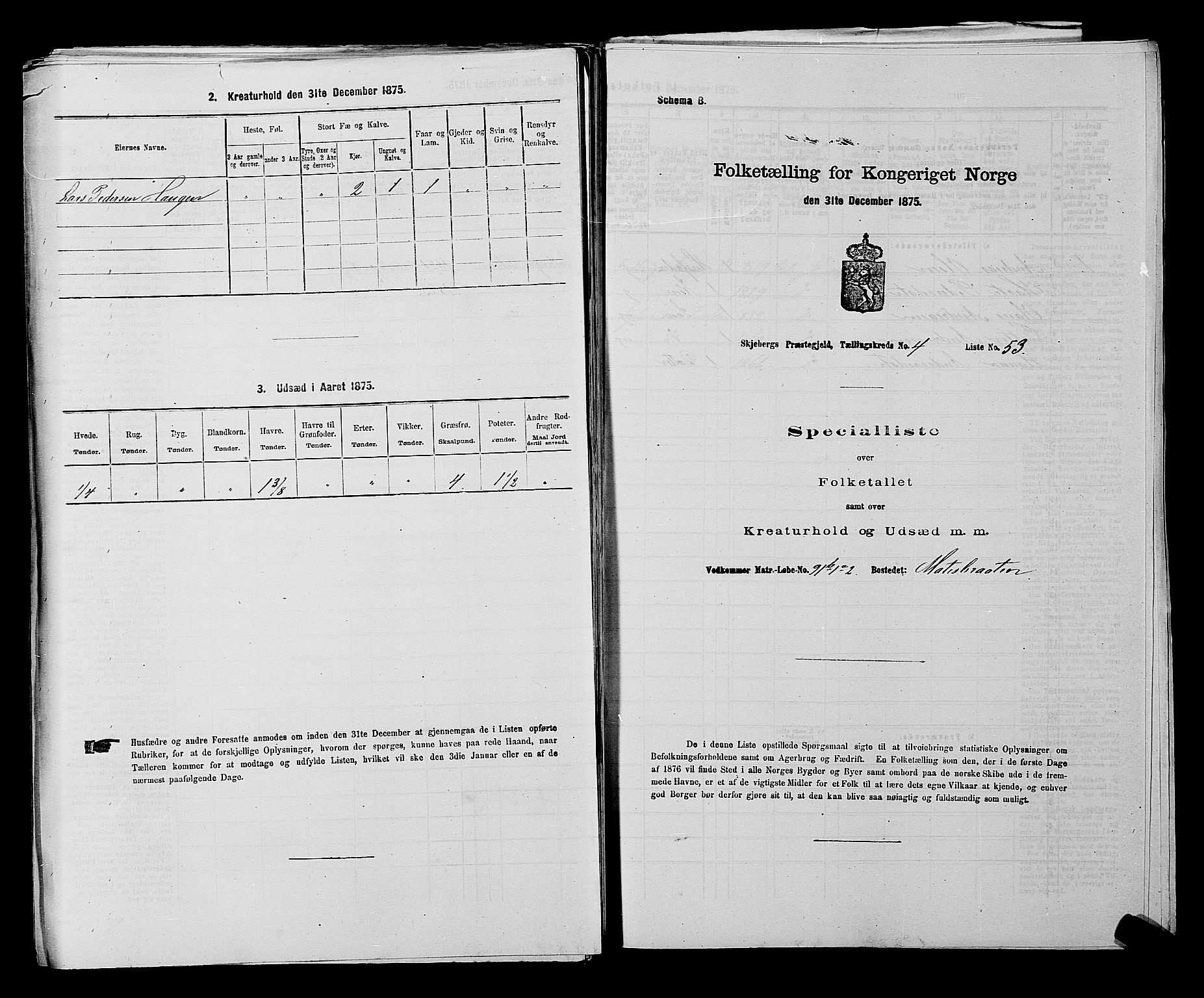 RA, 1875 census for 0115P Skjeberg, 1875, p. 814