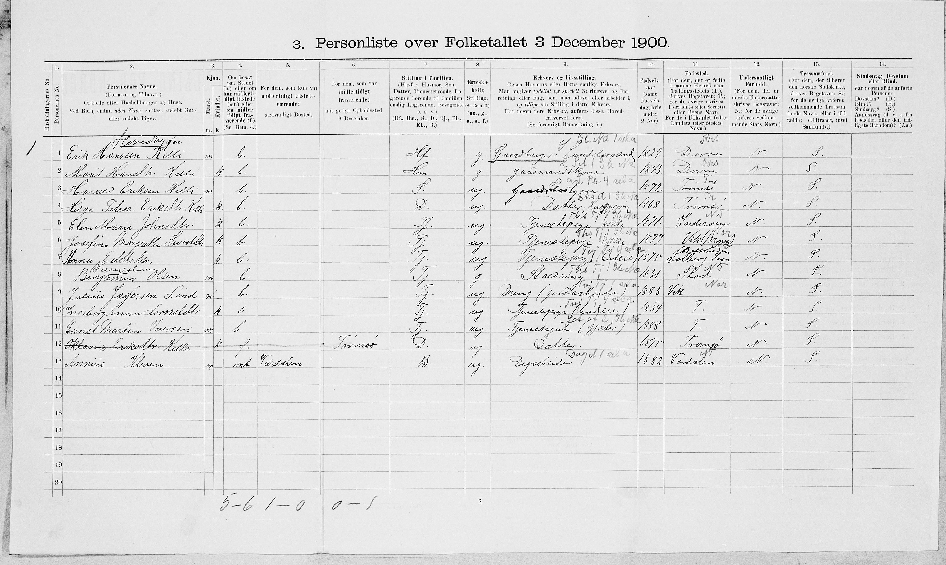 SAT, 1900 census for Skei, 1900, p. 49