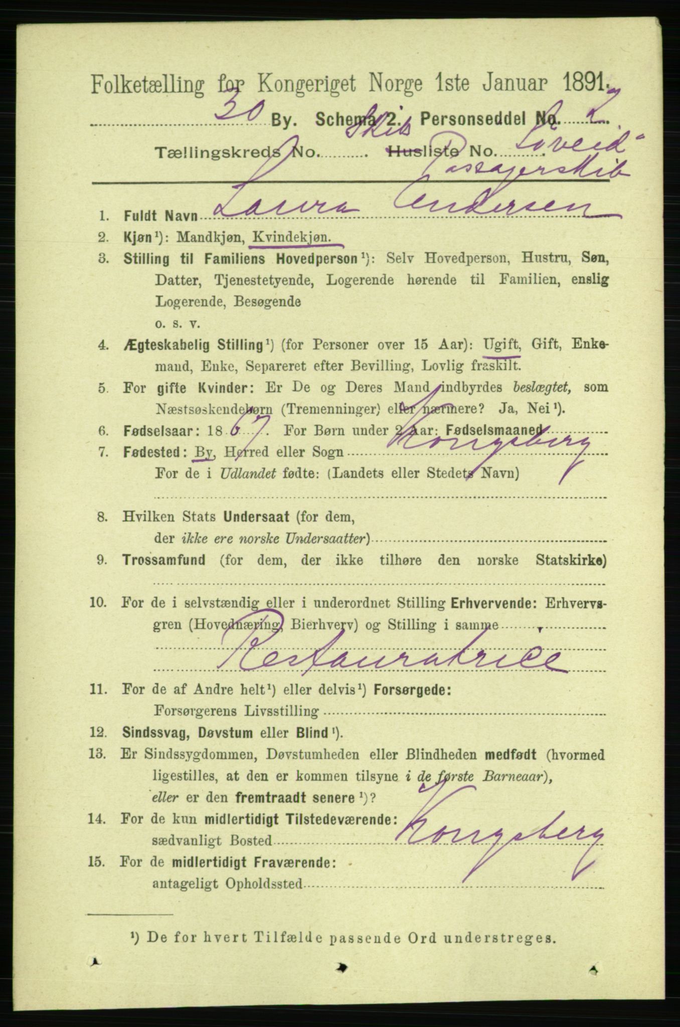 RA, 1891 census for 0806 Skien, 1891, p. 11509