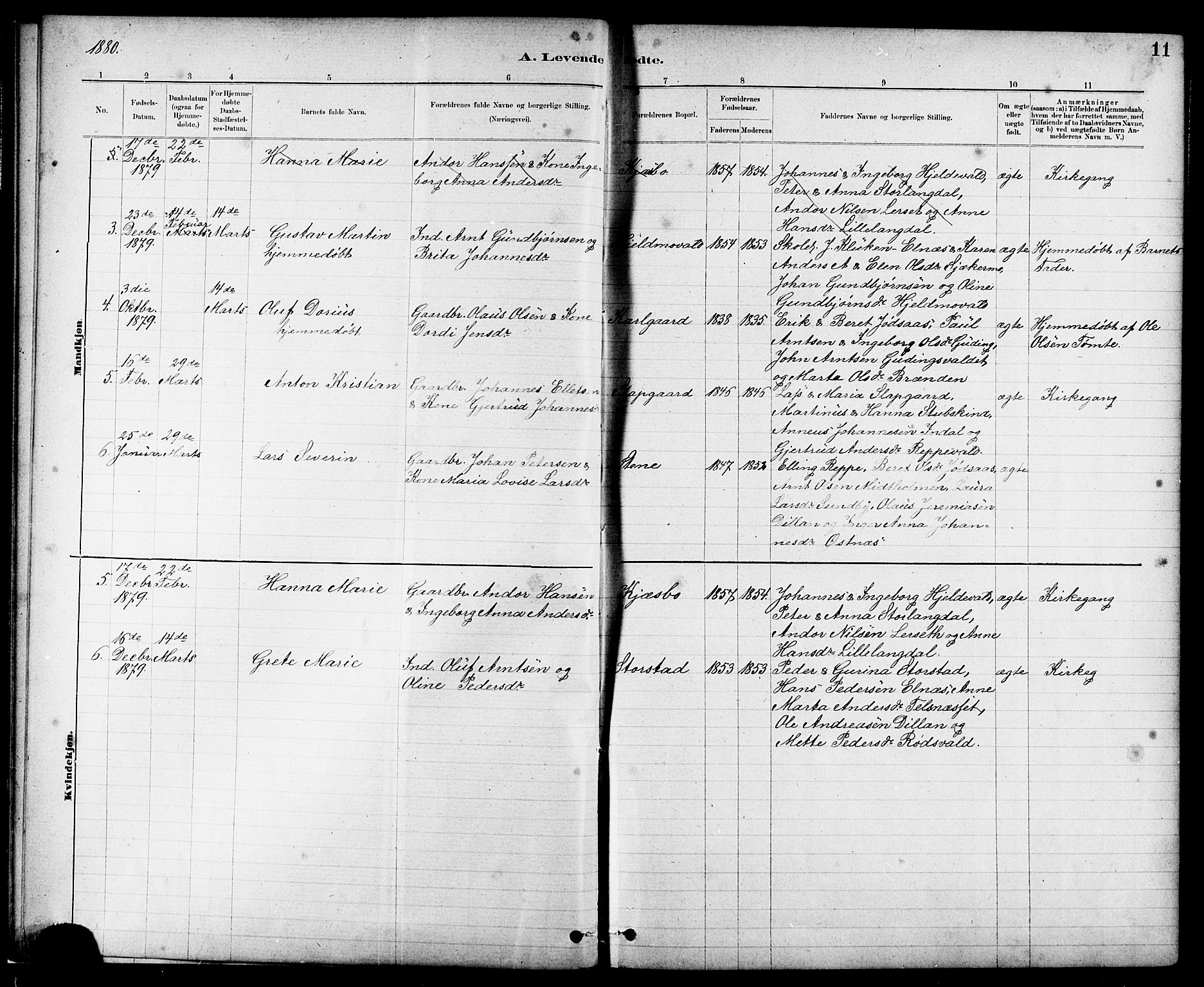 Ministerialprotokoller, klokkerbøker og fødselsregistre - Nord-Trøndelag, SAT/A-1458/724/L0267: Parish register (copy) no. 724C03, 1879-1898, p. 11
