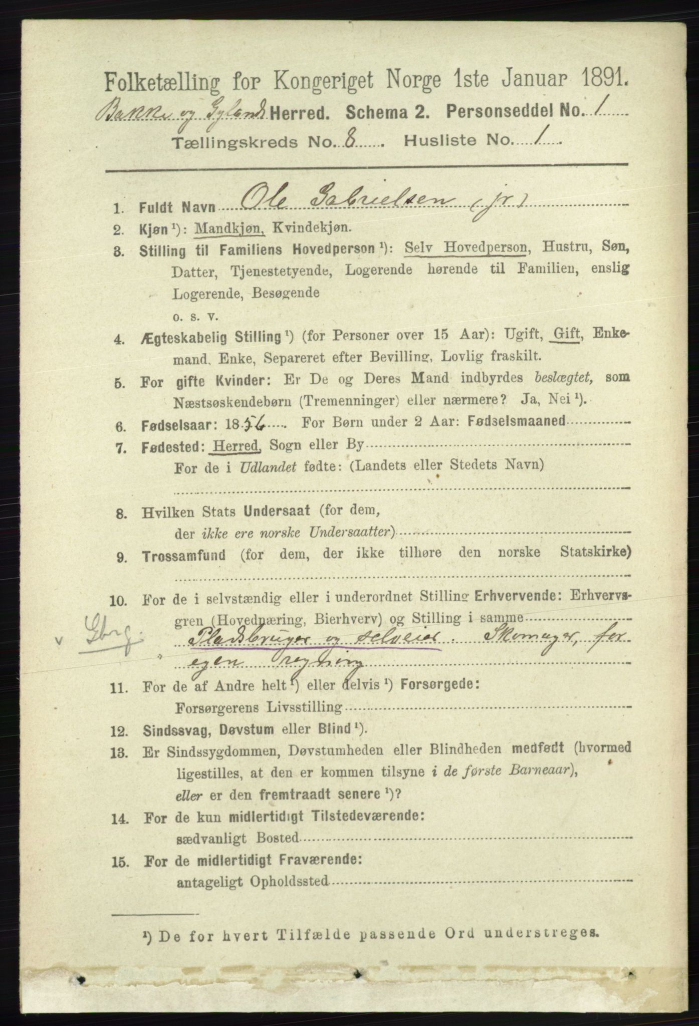 RA, 1891 census for 1045 Bakke, 1891, p. 1484