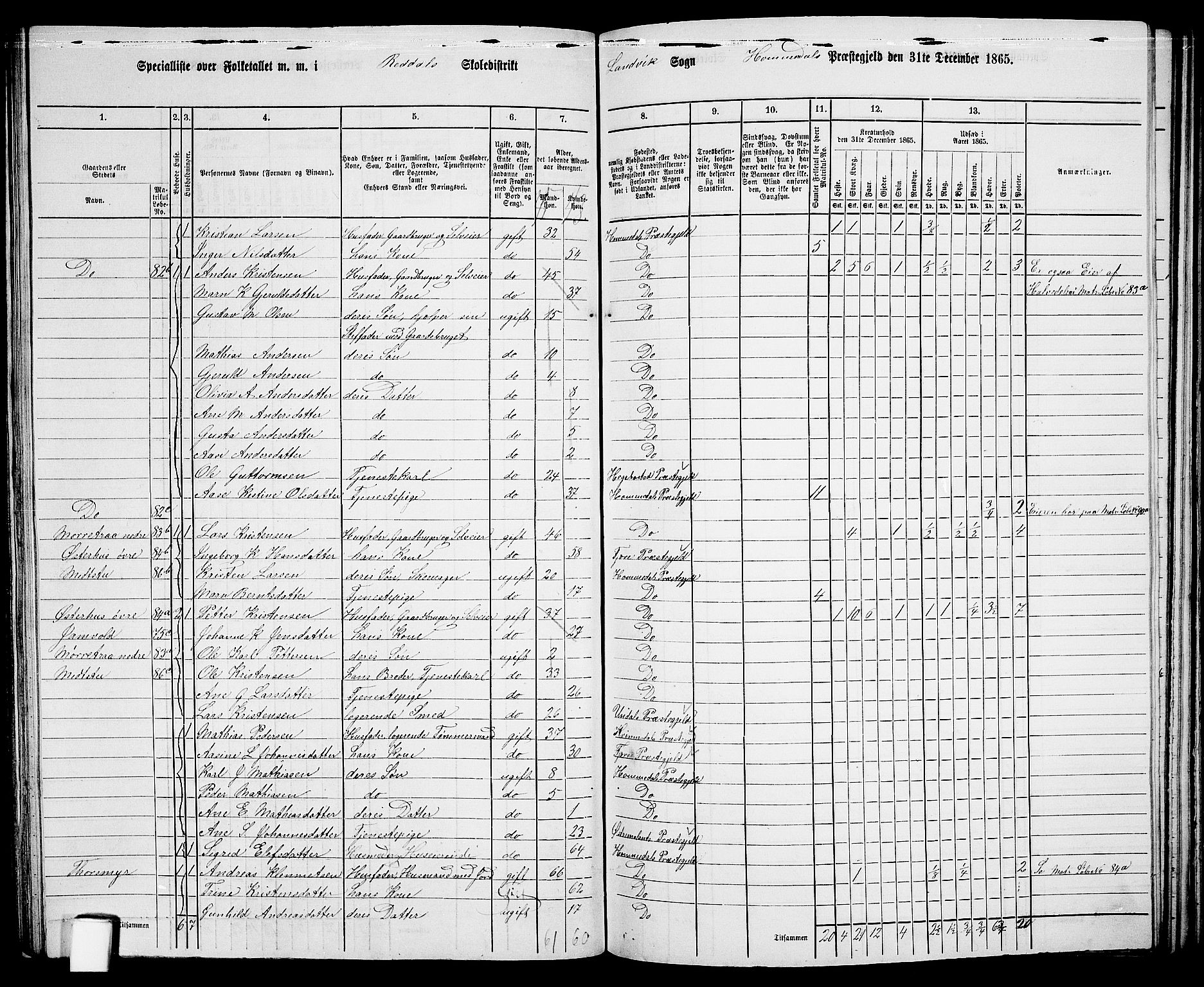 RA, 1865 census for Homedal, 1865, p. 102