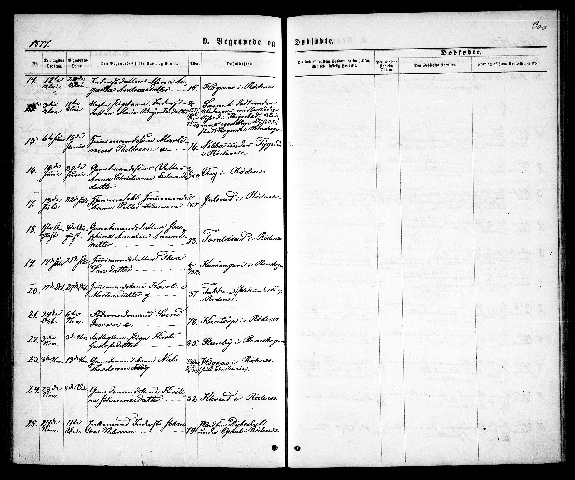 Rødenes prestekontor Kirkebøker, AV/SAO-A-2005/F/Fa/L0008: Parish register (official) no. I 8, 1869-1879, p. 300