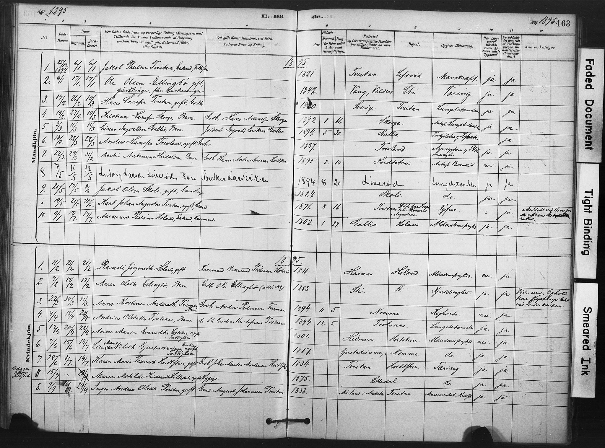 Andebu kirkebøker, AV/SAKO-A-336/F/Fa/L0008: Parish register (official) no. 8, 1878-1902, p. 163