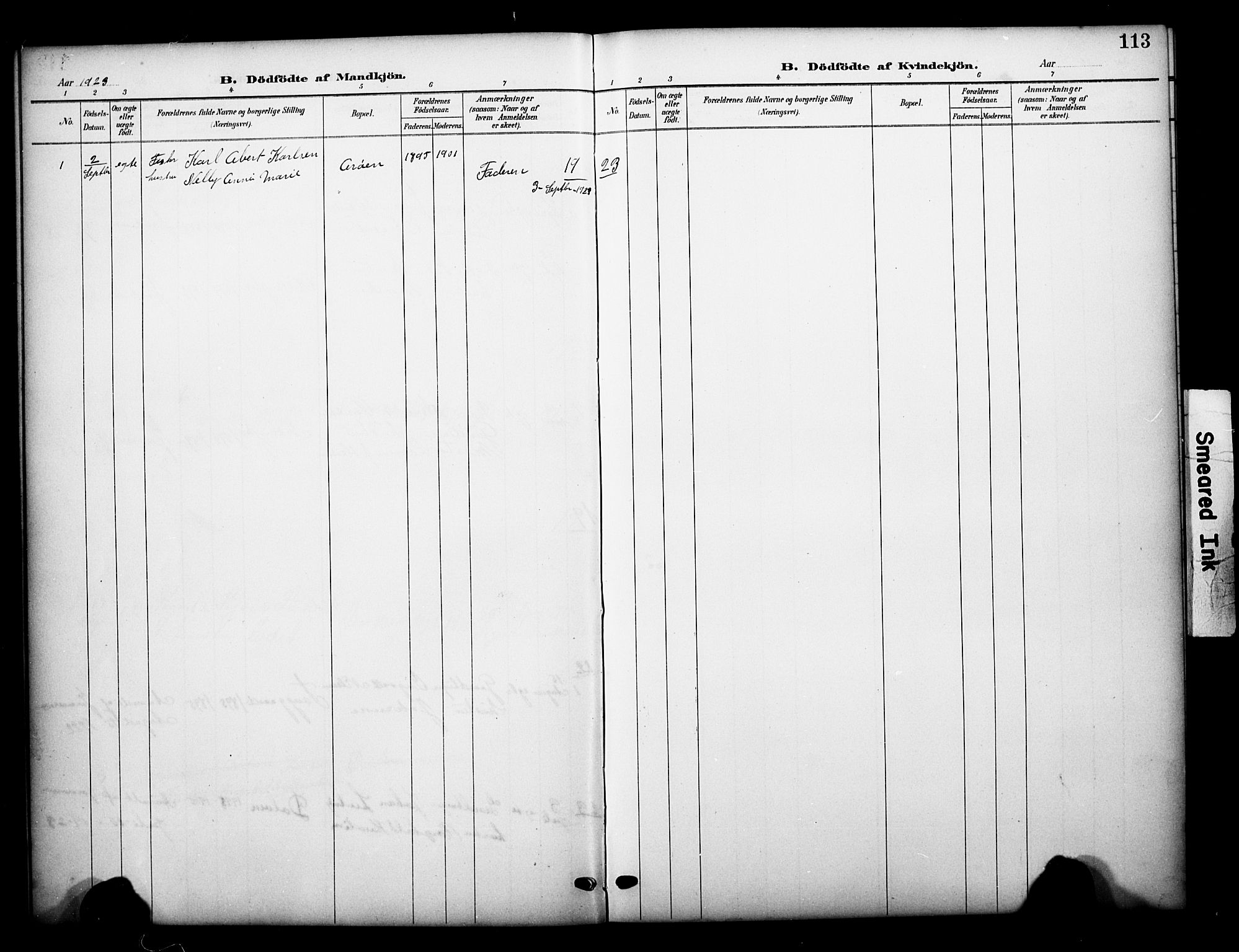 Brunlanes kirkebøker, AV/SAKO-A-342/G/Gb/L0003: Parish register (copy) no. II 3, 1903-1928, p. 113