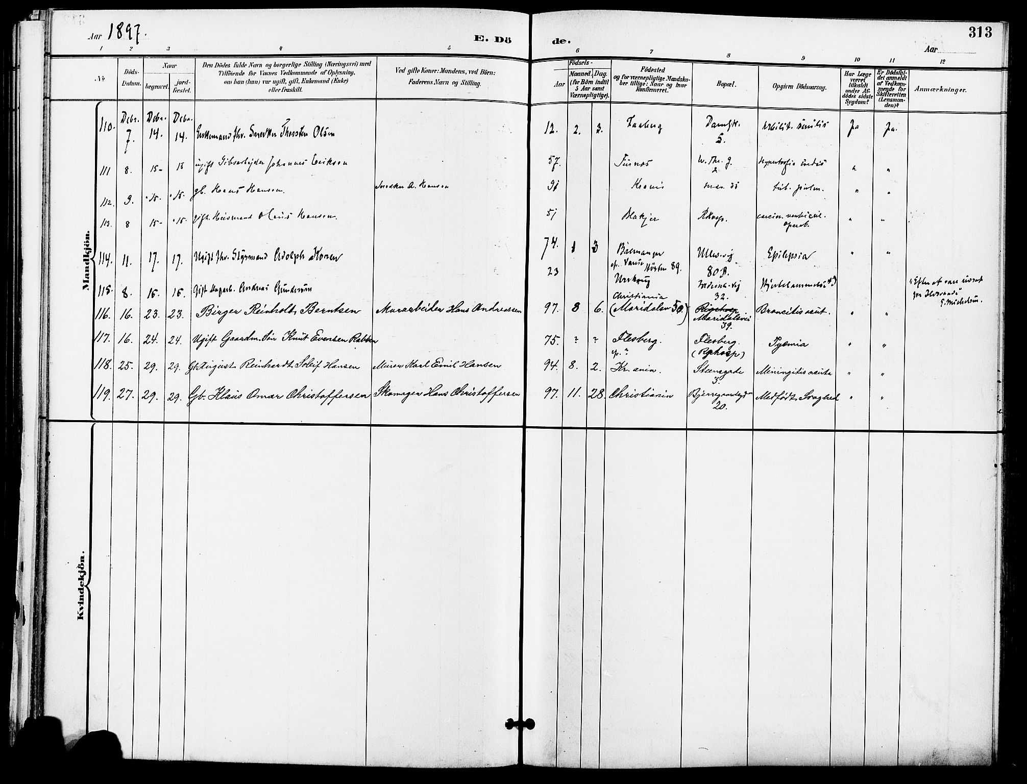 Gamle Aker prestekontor Kirkebøker, SAO/A-10617a/F/L0011: Parish register (official) no. 11, 1896-1901, p. 313