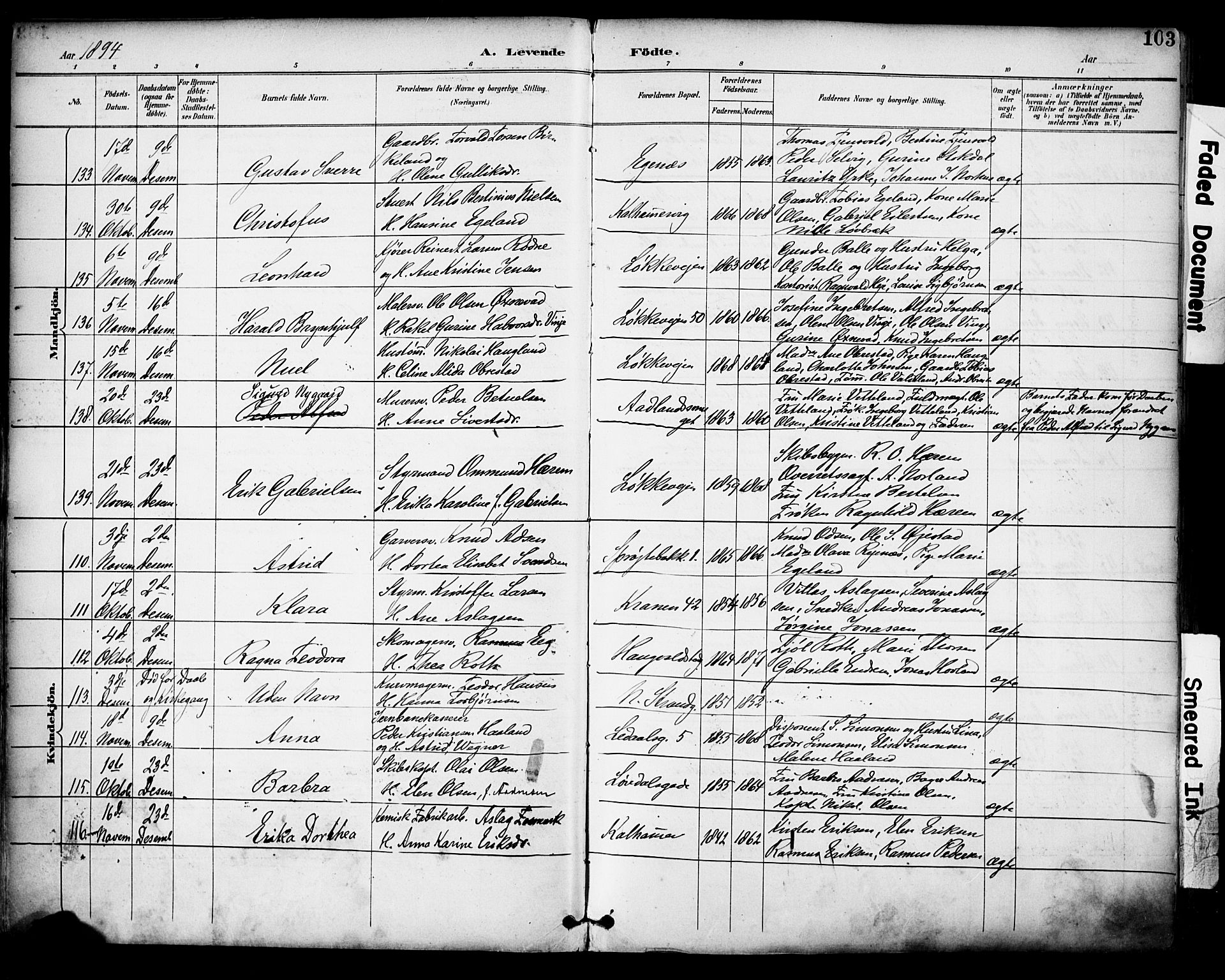 Domkirken sokneprestkontor, AV/SAST-A-101812/001/30/30BA/L0030: Parish register (official) no. A 29, 1889-1902, p. 103