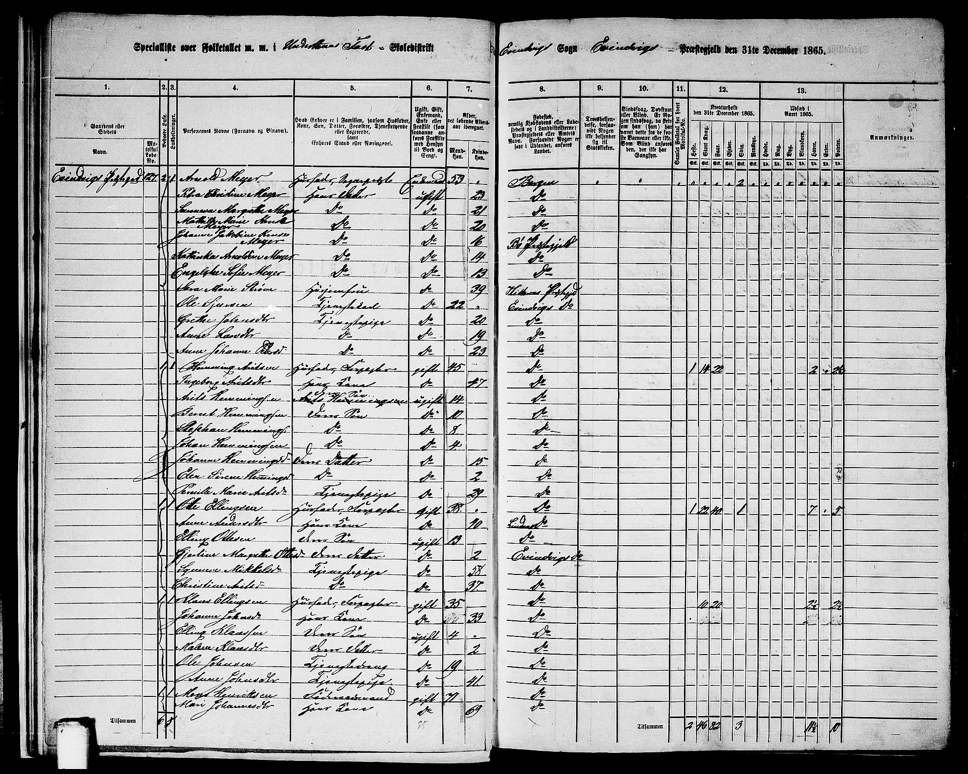 RA, 1865 census for Eivindvik, 1865, p. 17