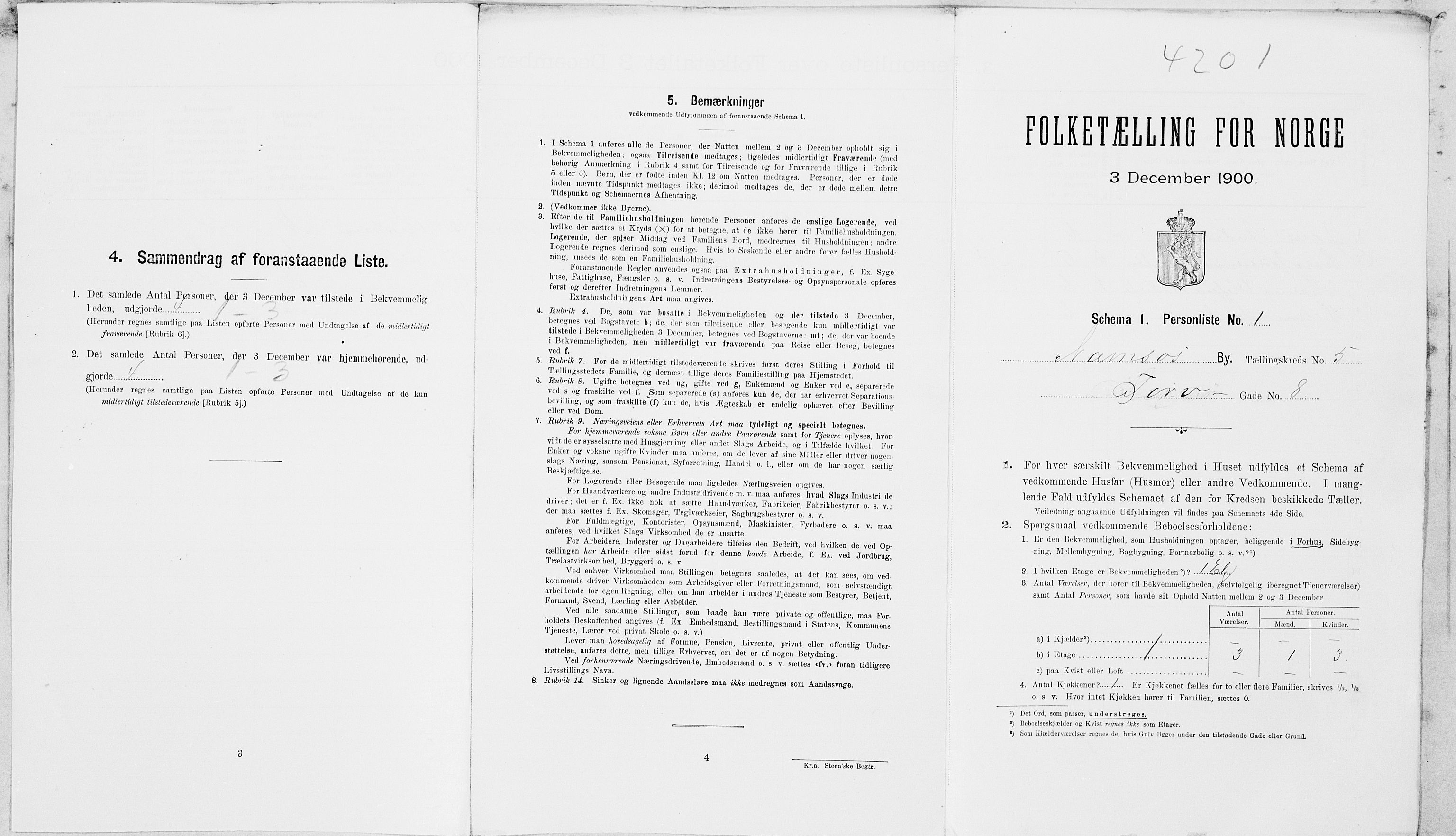 SAT, 1900 census for Namsos, 1900, p. 913